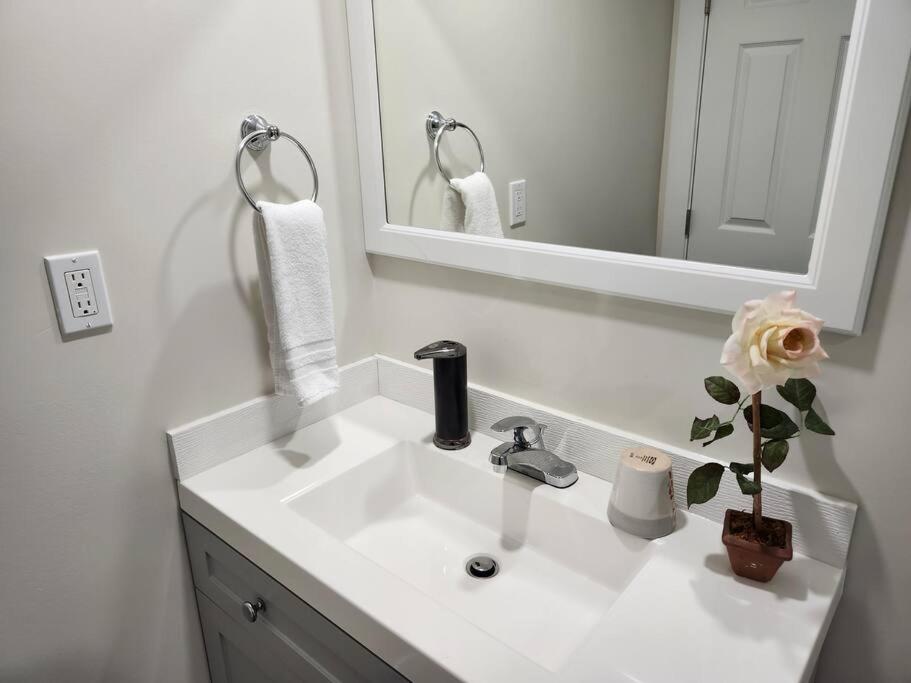 Cozy suite near Hospital, Stadium, Airport & RCMP