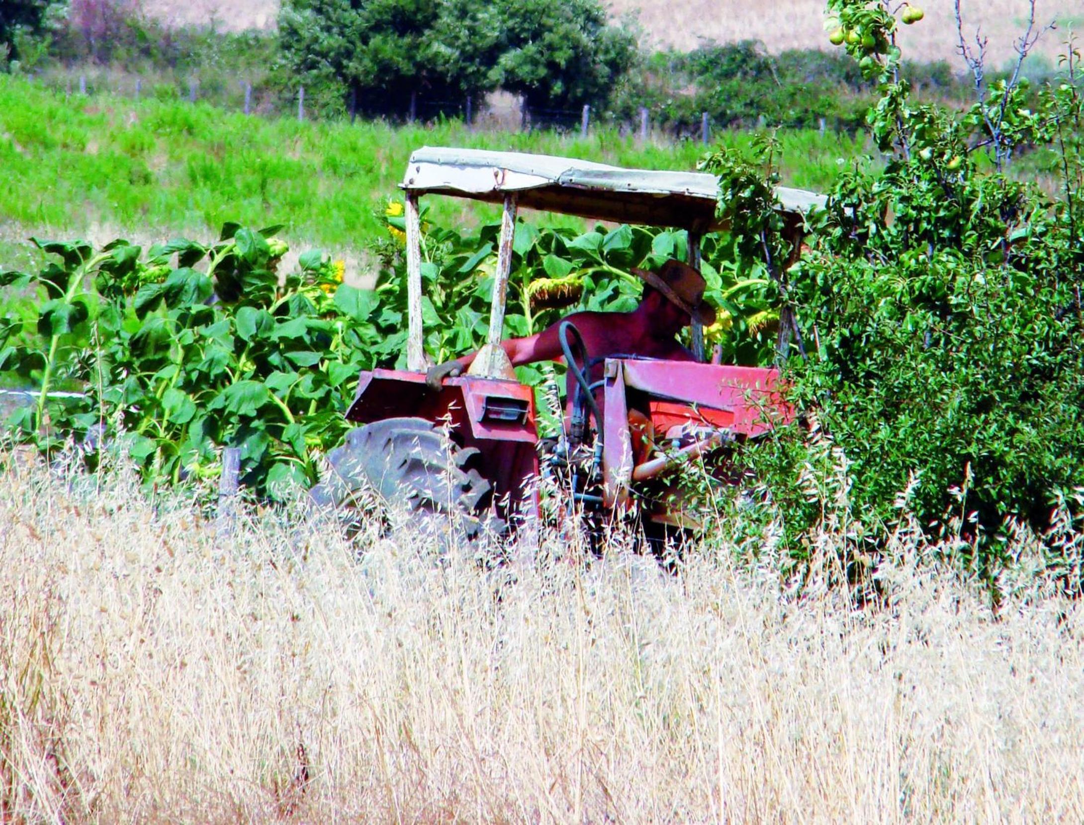 Agriturismo La Svolta