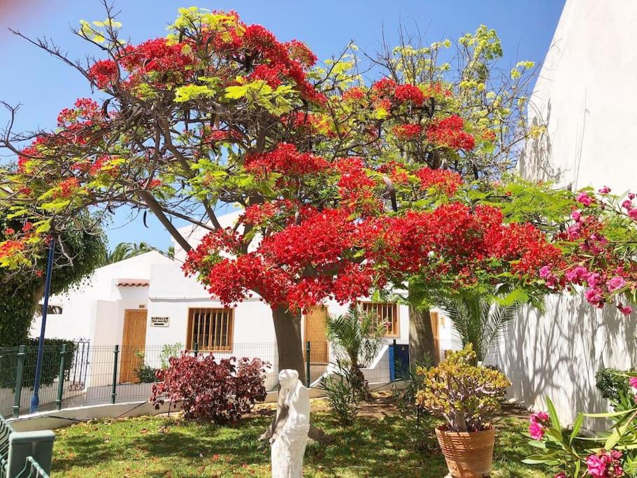 Apartamento Elisa en Garden City con piscina climatizada