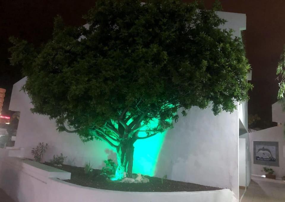 Apartamento Elisa en Garden City con piscina climatizada