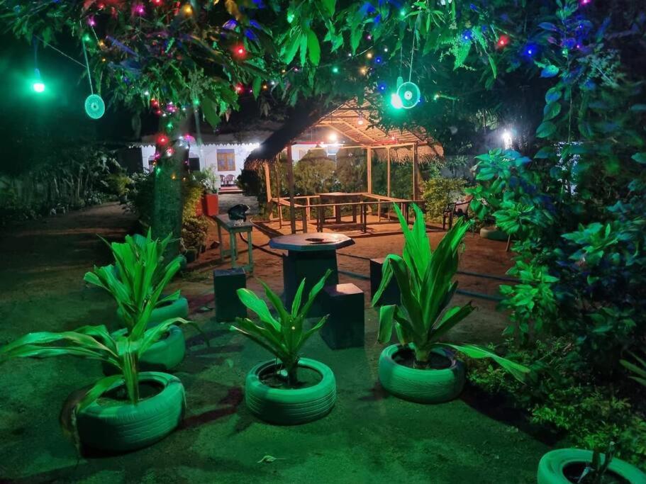 Rainbow Villa Nilaveli view 5