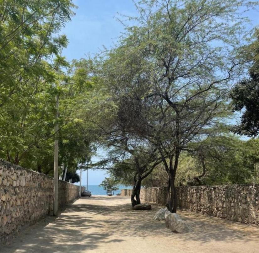 Apartamento nuevo en Playa Dormida