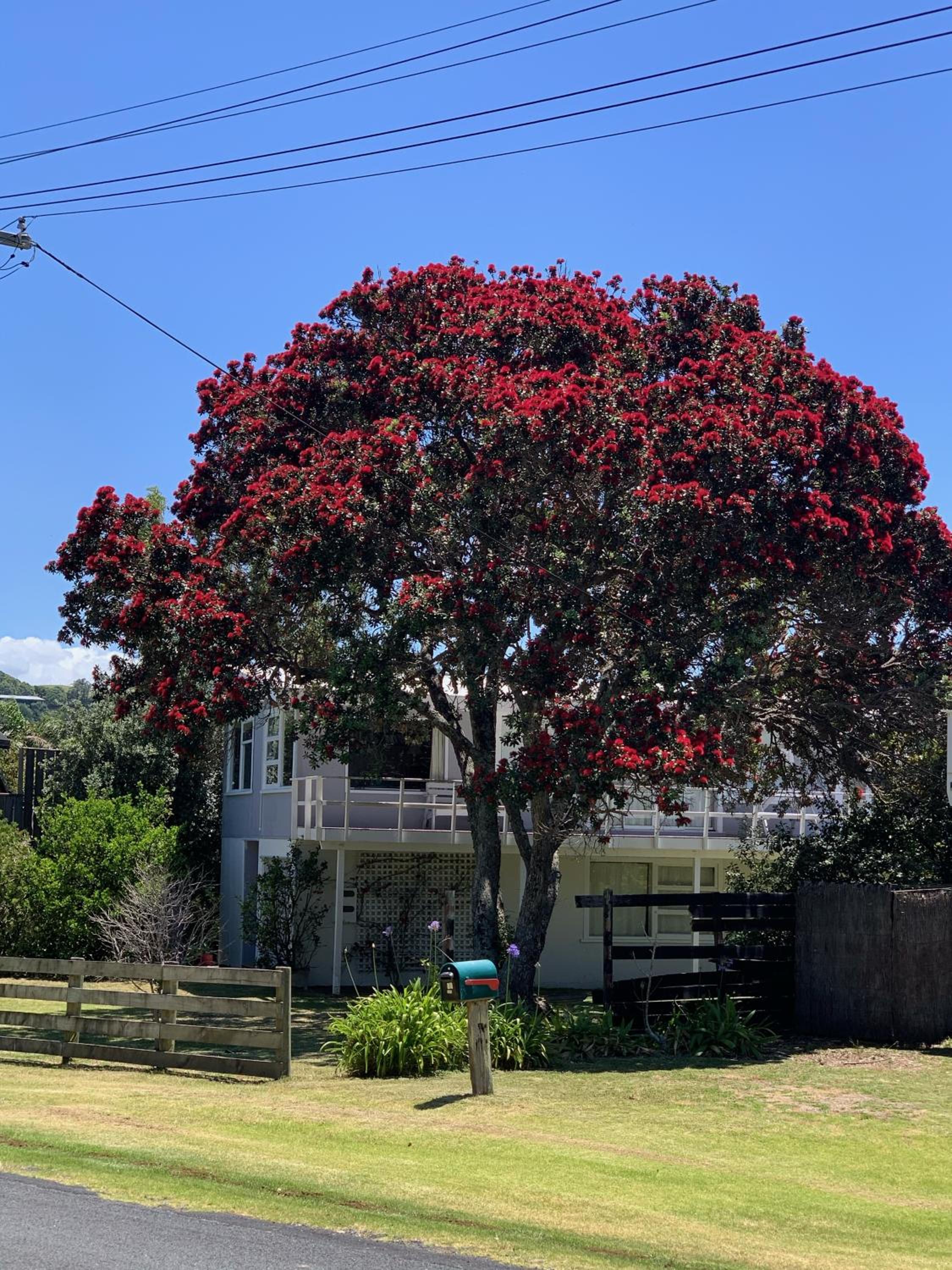 Playtime Plus - Matapouri Holiday Home