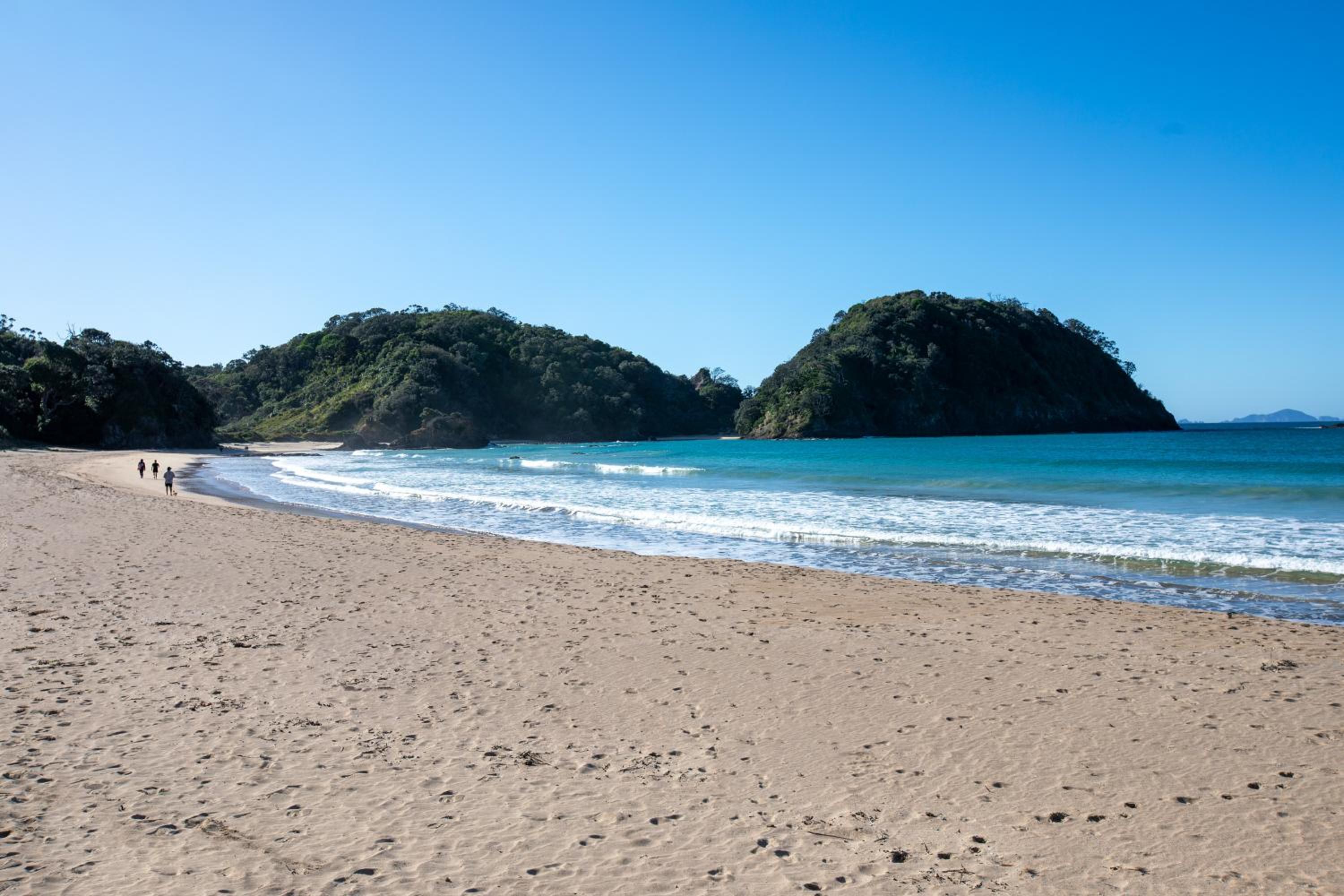Playtime Plus - Matapouri Holiday Home