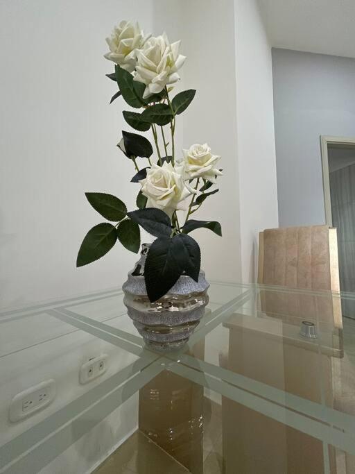Lindo Apartamento con Jacuzzi en Monteria
