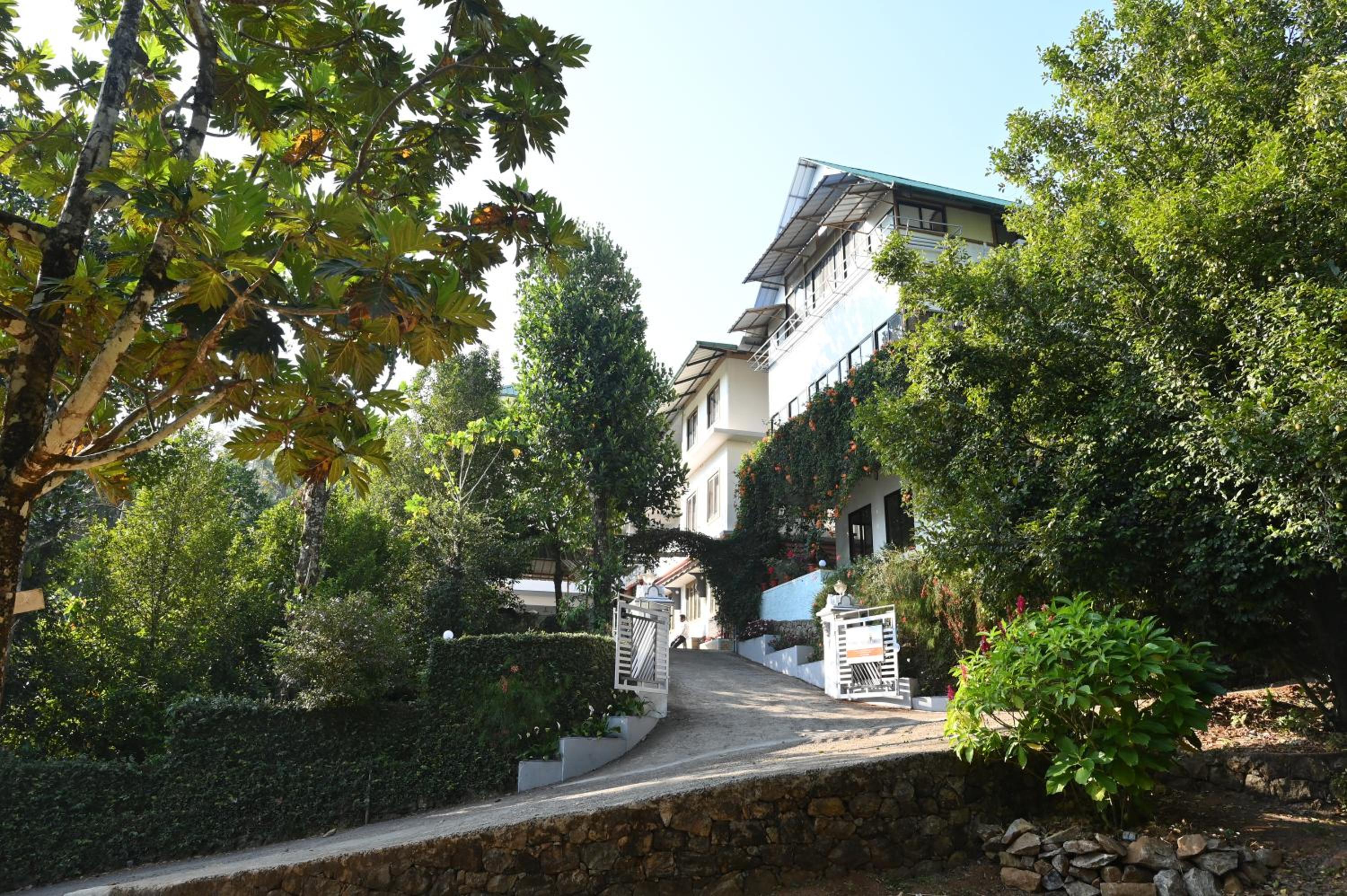 Photo 40