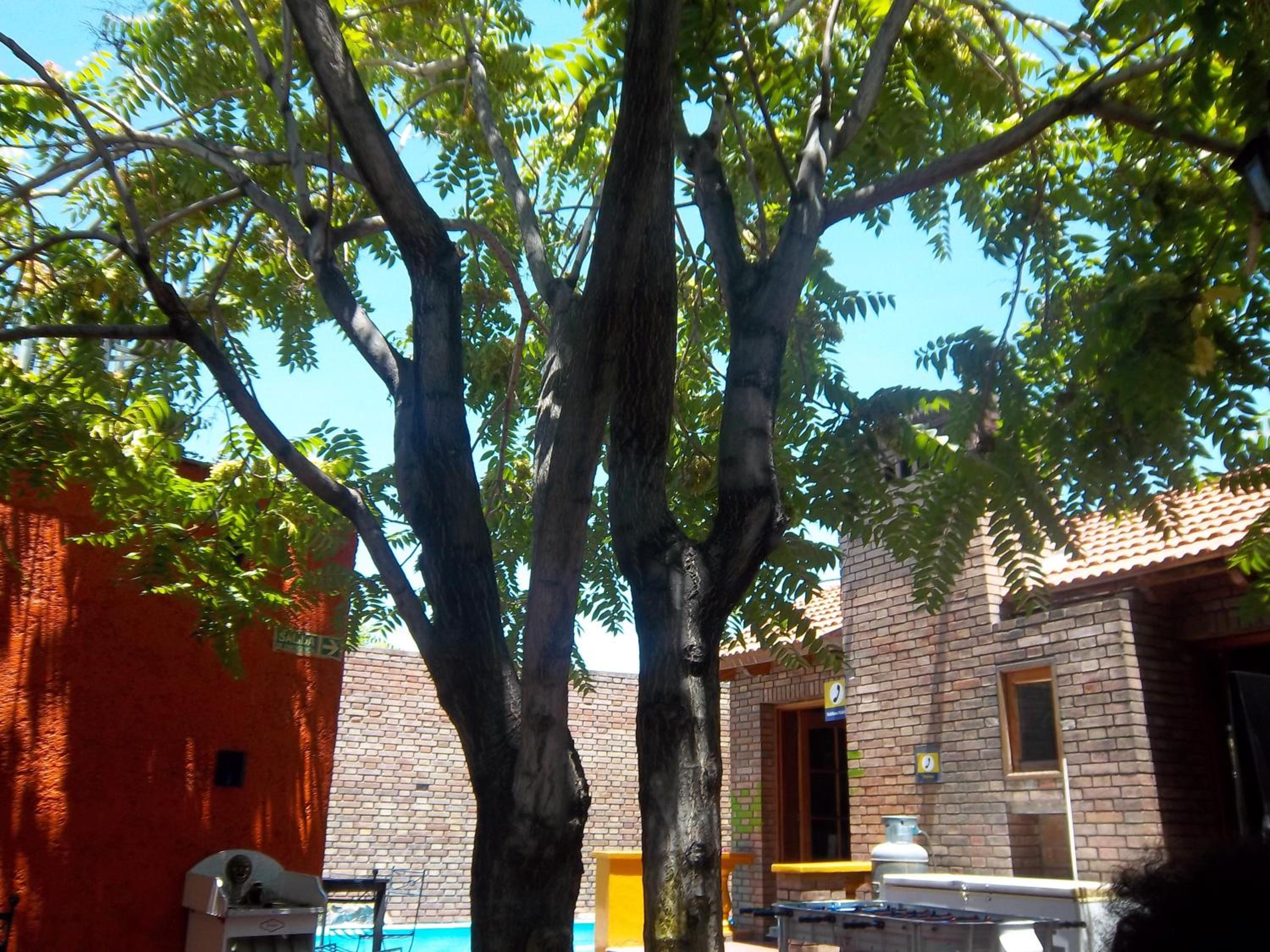 Hostel Ruca Potu