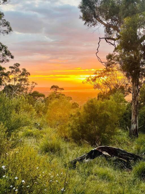 Cherry Tree Hill - The Gateway to Freycinet Park