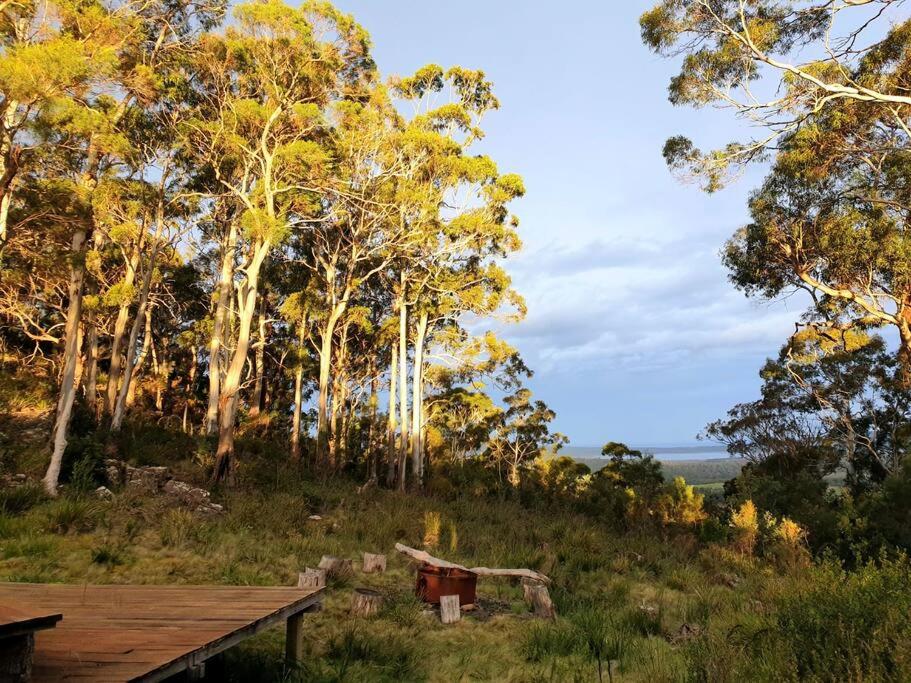 Cherry Tree Hill - The Gateway to Freycinet Park