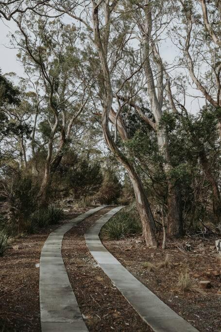 Cherry Tree Hill - The Gateway to Freycinet Park