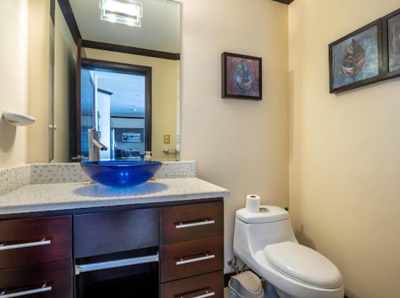 Beachfront Diamante del Sol 601S