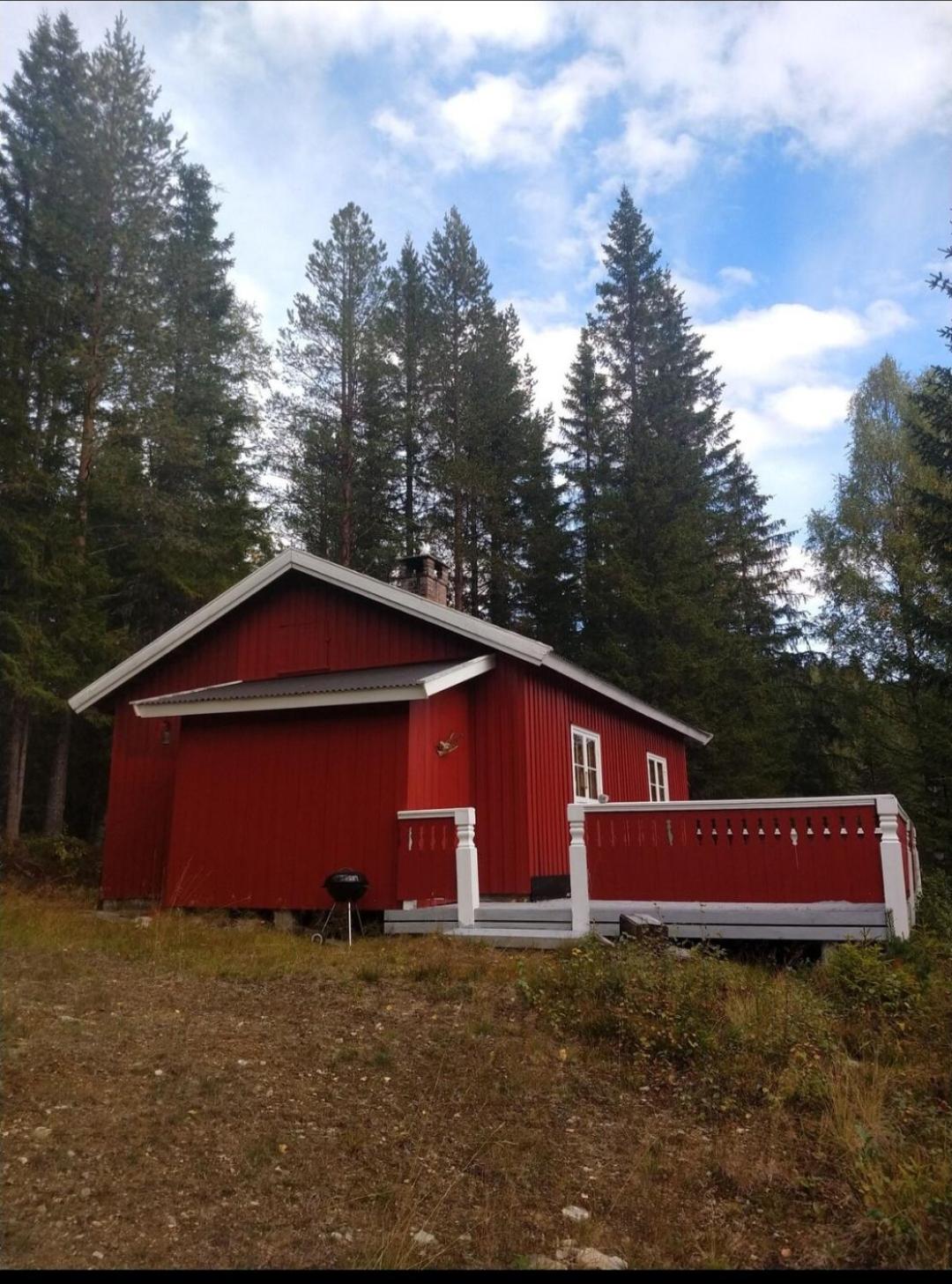 Photo 21
