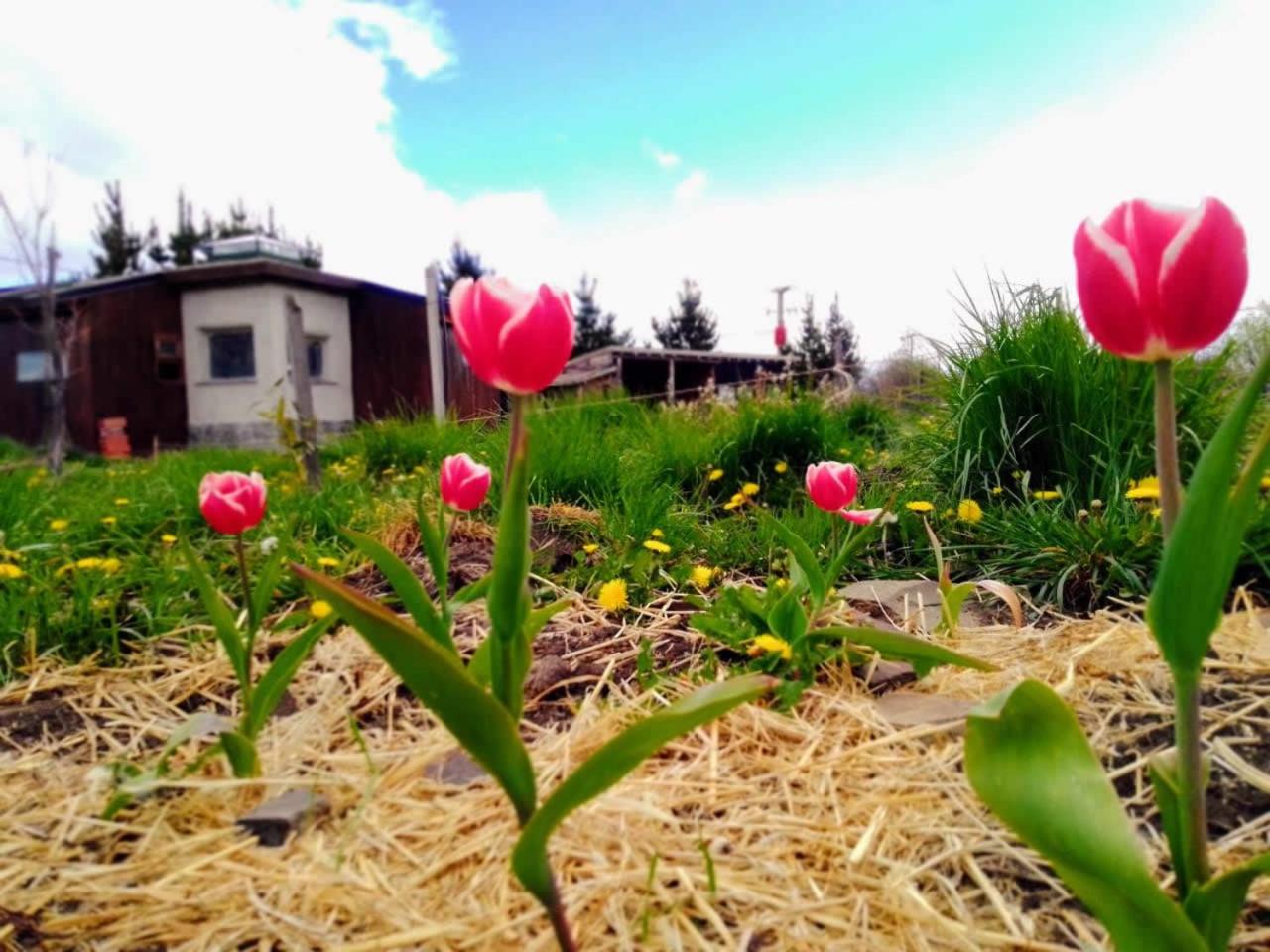 Arriba la Luna - Ecovilla Rural