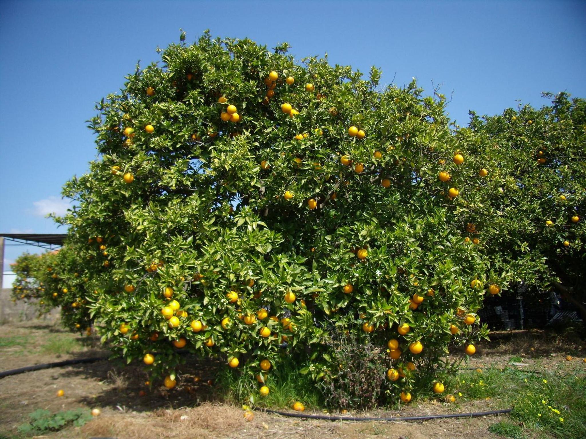 Photo 24