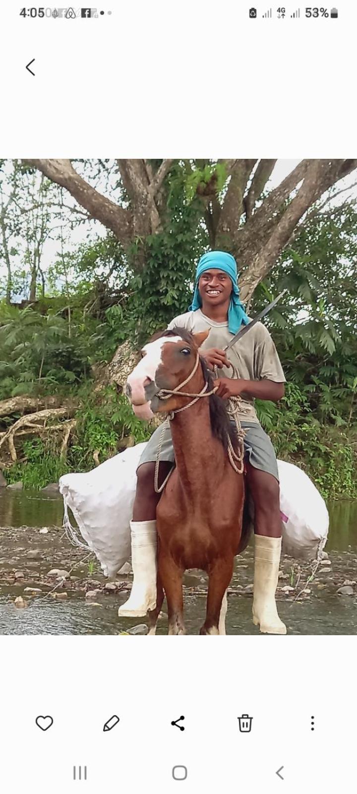Highlands Homestay Fiji