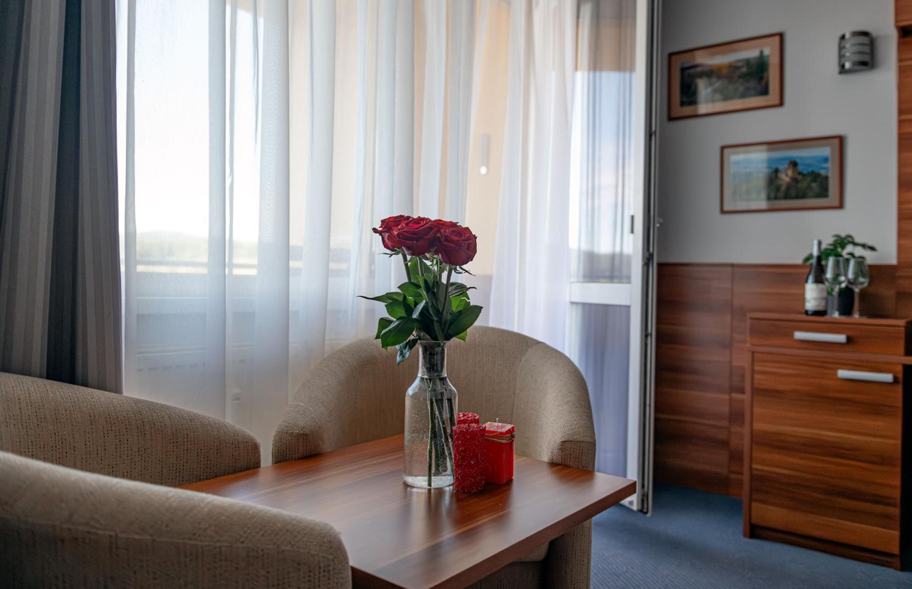 Lipno Wellness - Frymburk C 301 view 4