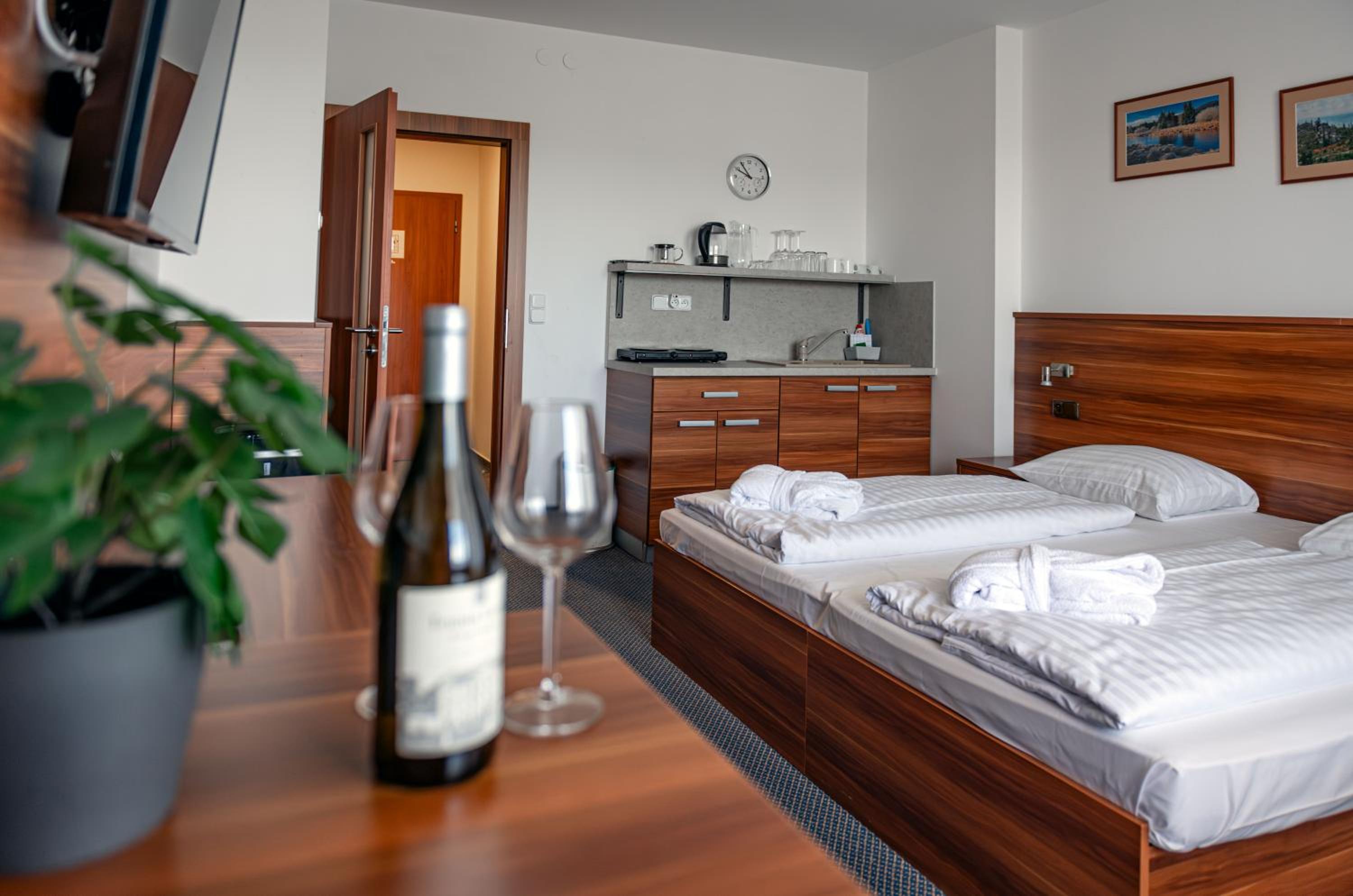 Lipno Wellness - Frymburk C 301 view 2