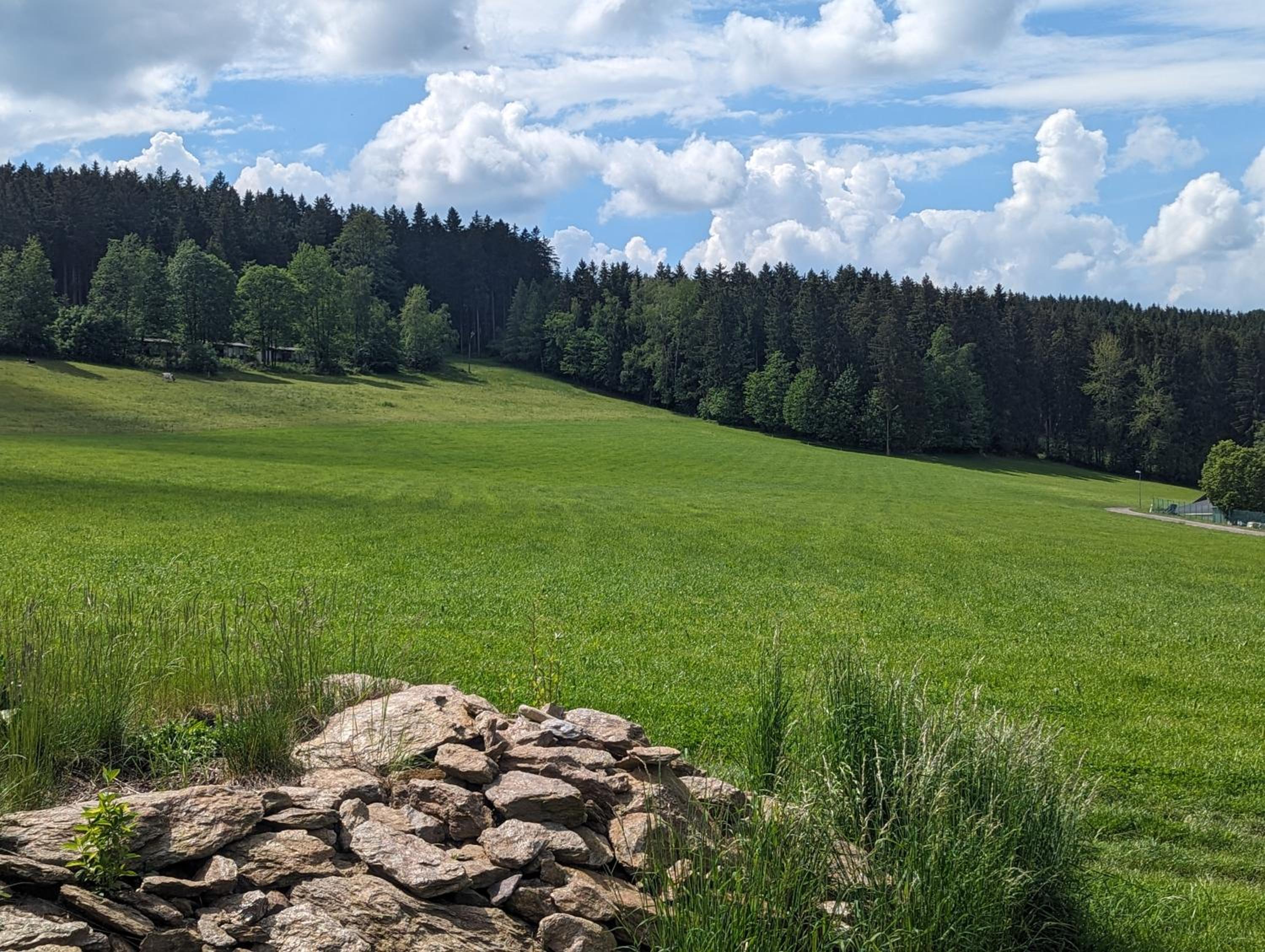 Ferienhaus Waldblick im Erzgebirge