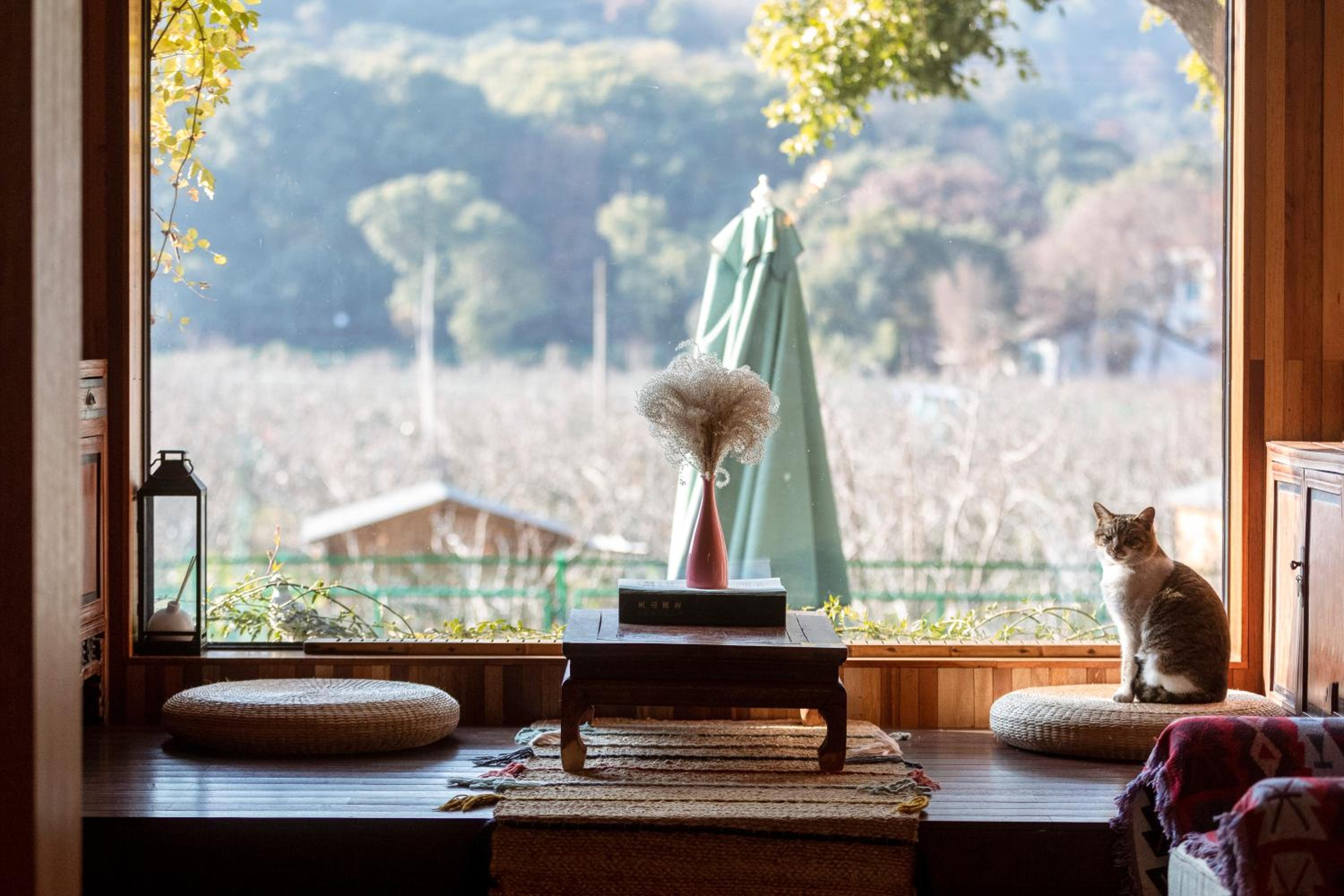 Suzhou Tree B&B - Suzhou Shushan Eco Village