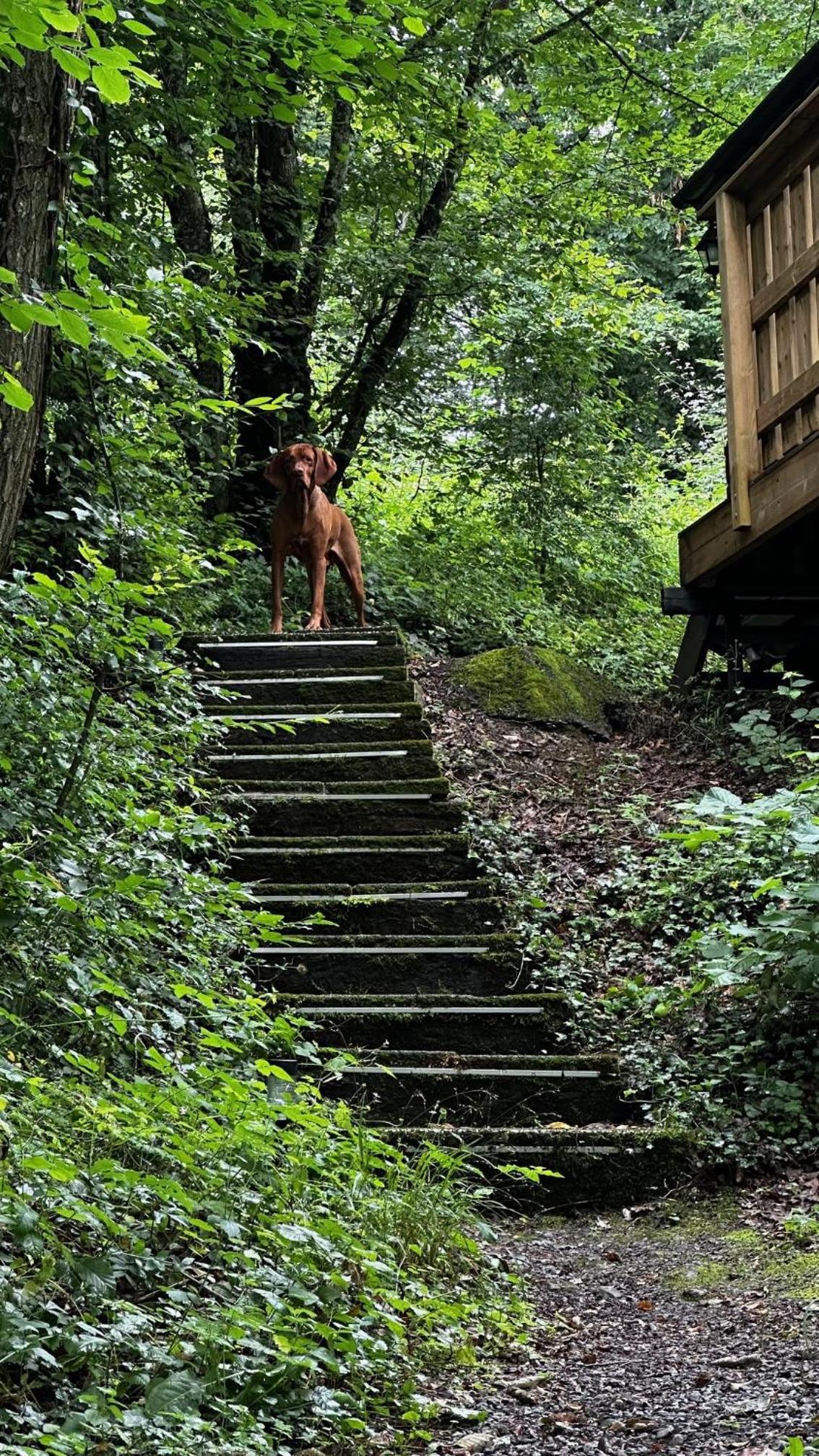 Chalet Madam Padam in Durbuy