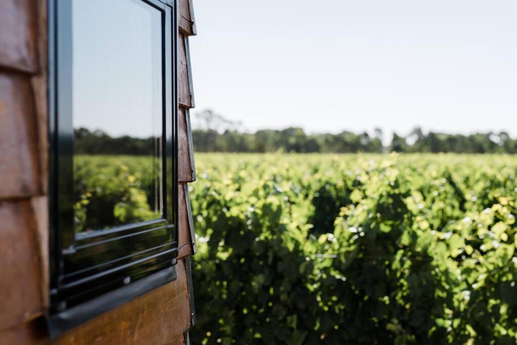 Jones Winery Tiny House on the Vineyard, Rutherglen - Off Grid