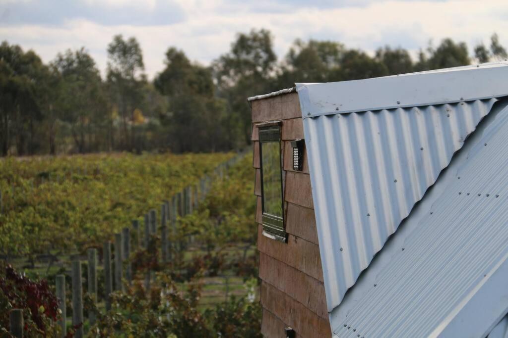 Jones Winery Tiny House on the Vineyard, Rutherglen - Off Grid