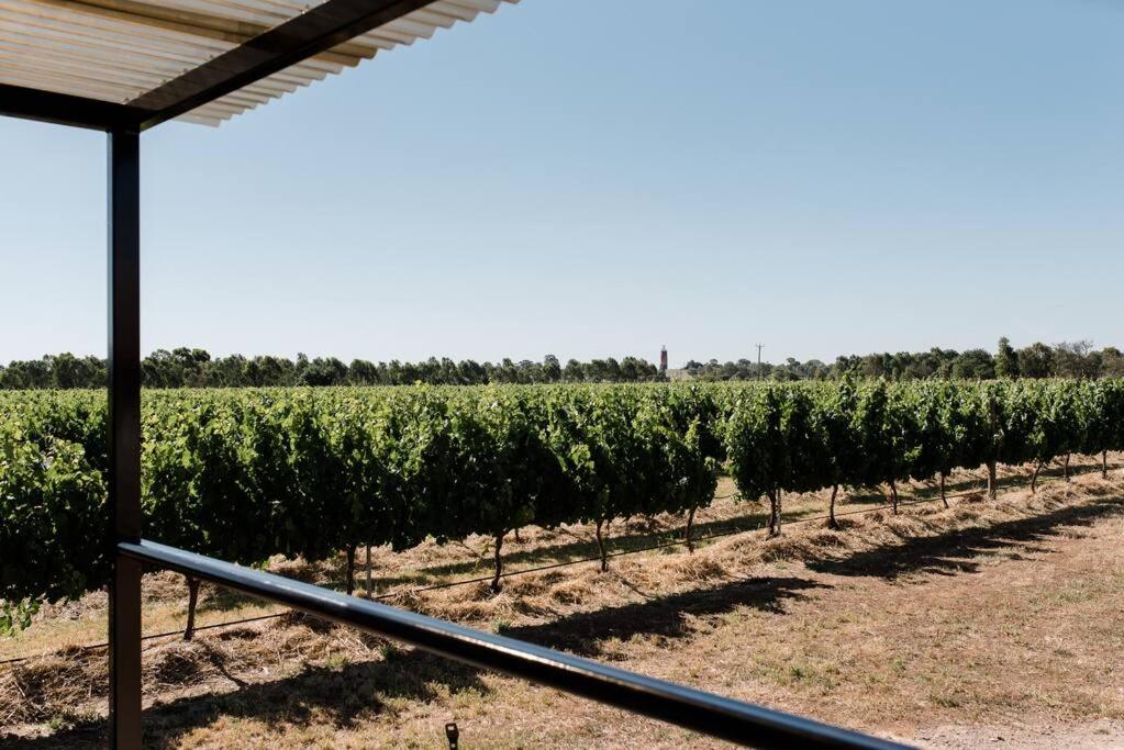 Jones Winery Tiny House on the Vineyard, Rutherglen - Off Grid