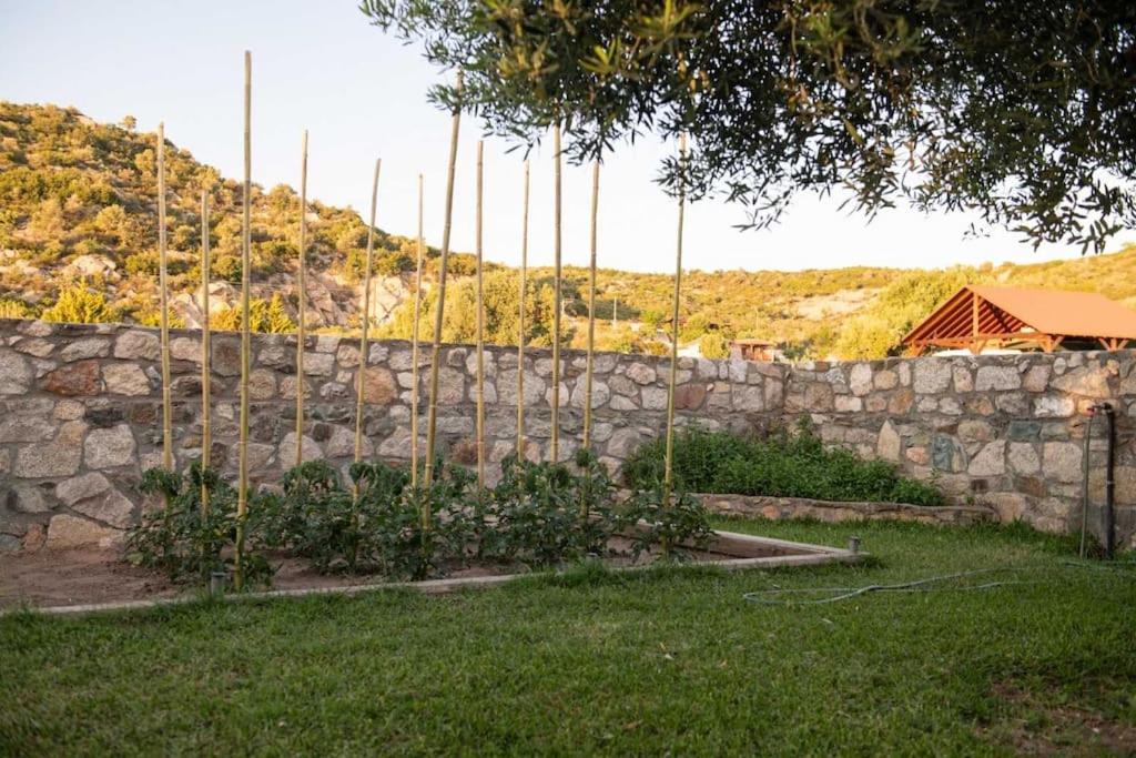 Olive Garden Toroni view 5