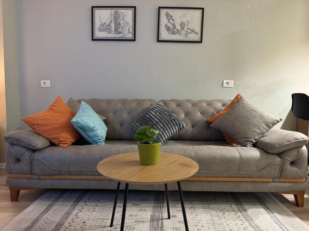 Lemon Breeze Studio in Shkodra