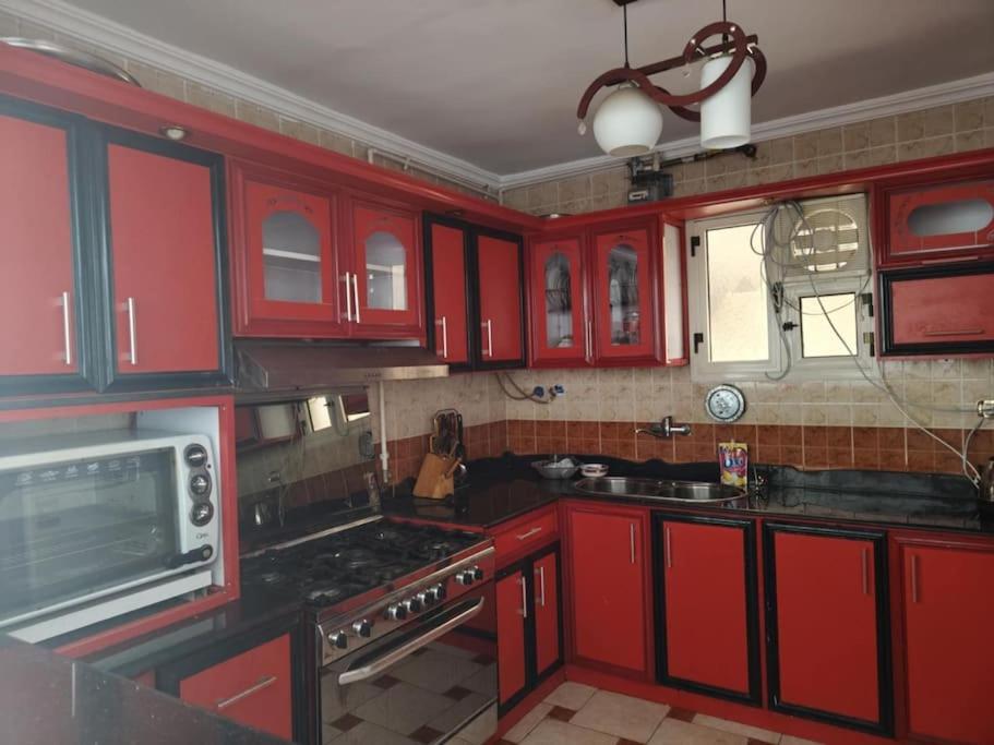 Newly Furnished Apt in Alex