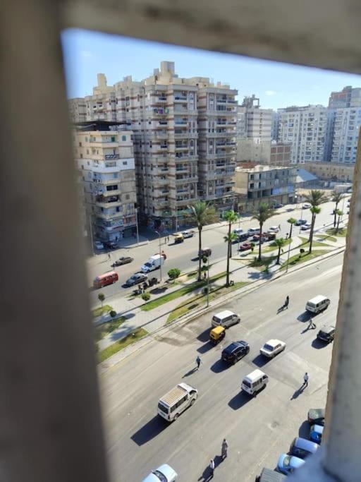 Newly Furnished Apt in Alex
