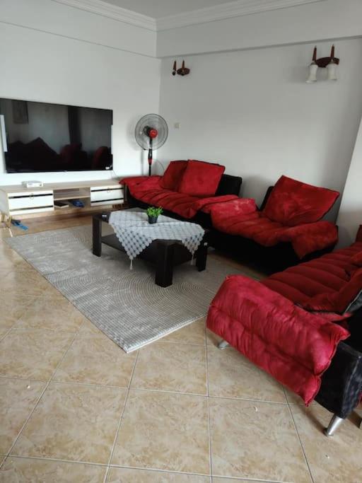 Newly Furnished Apt in Alex