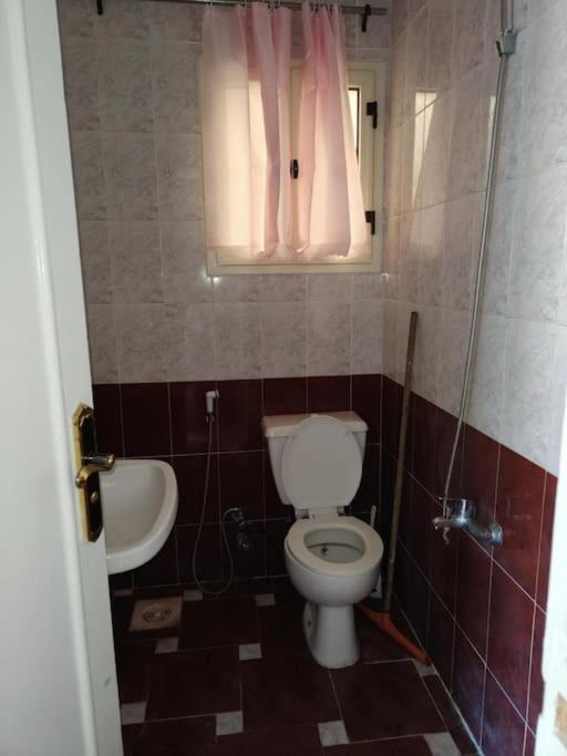 Newly Furnished Apt in Alex