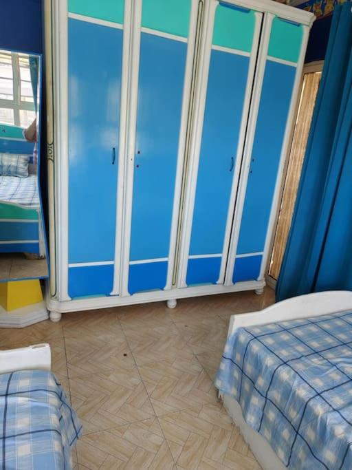 Newly Furnished Apt in Alex