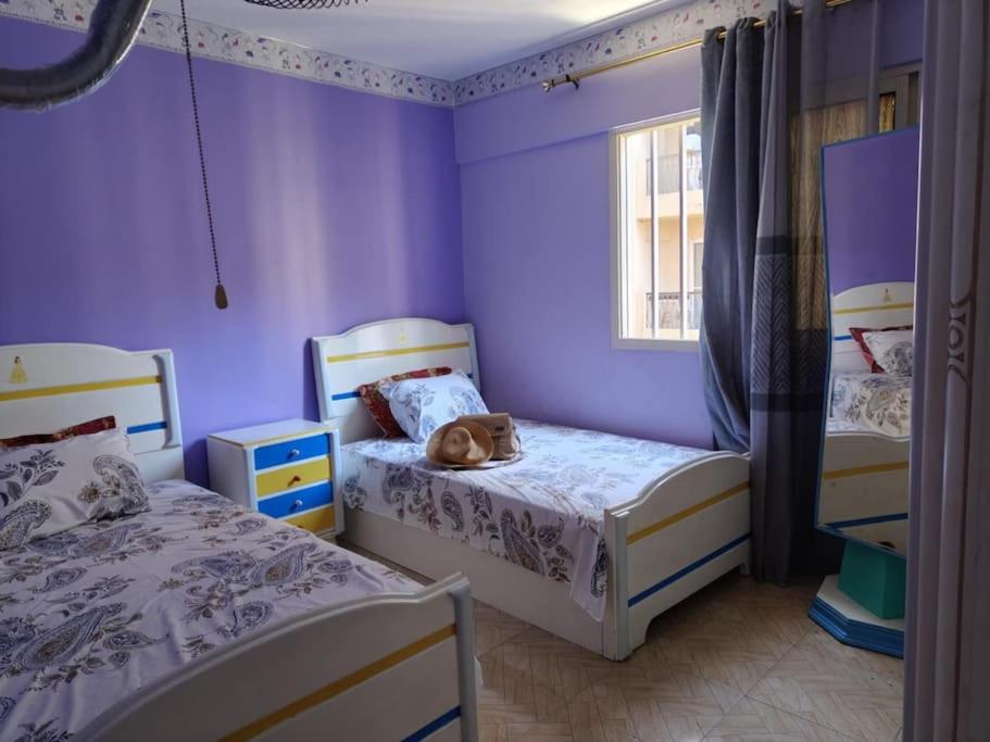 Newly Furnished Apt in Alex