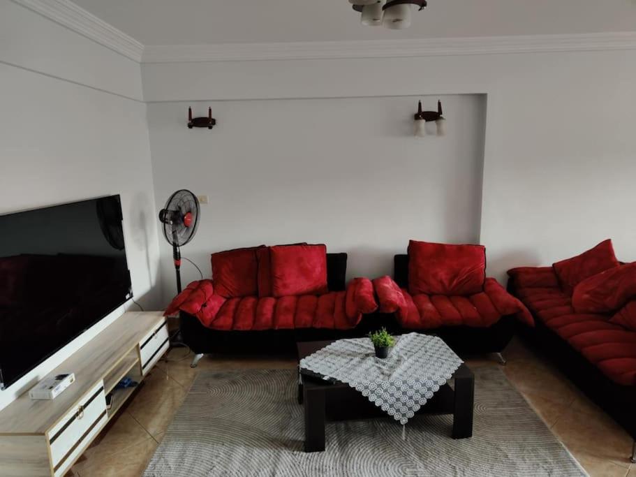 Newly Furnished Apt in Alex