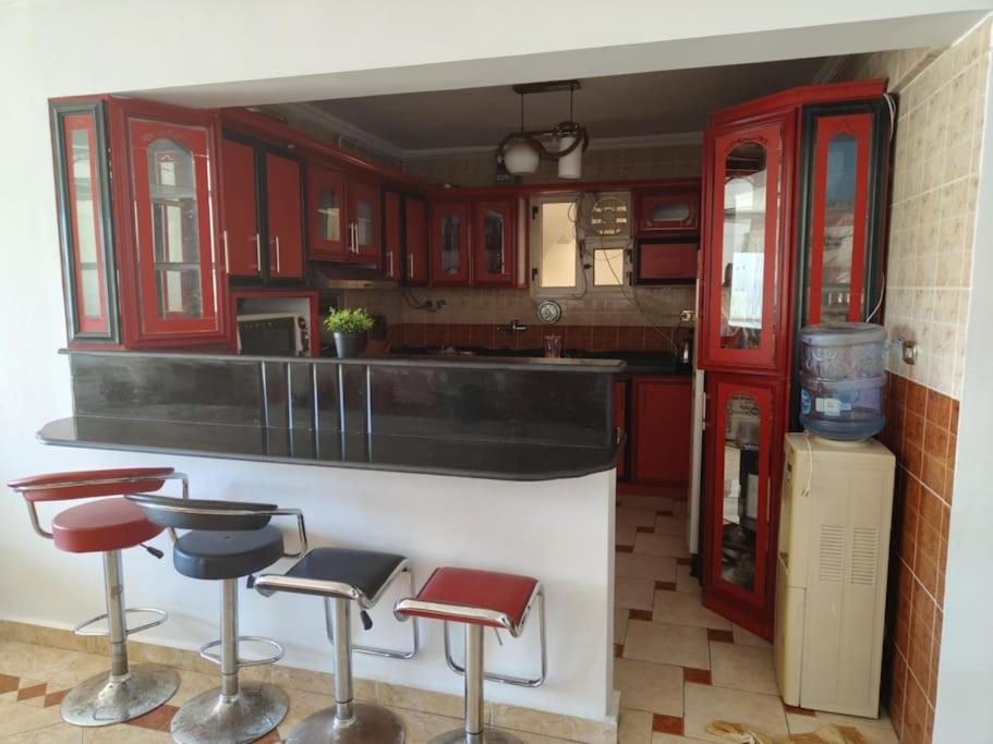 Newly Furnished Apt in Alex