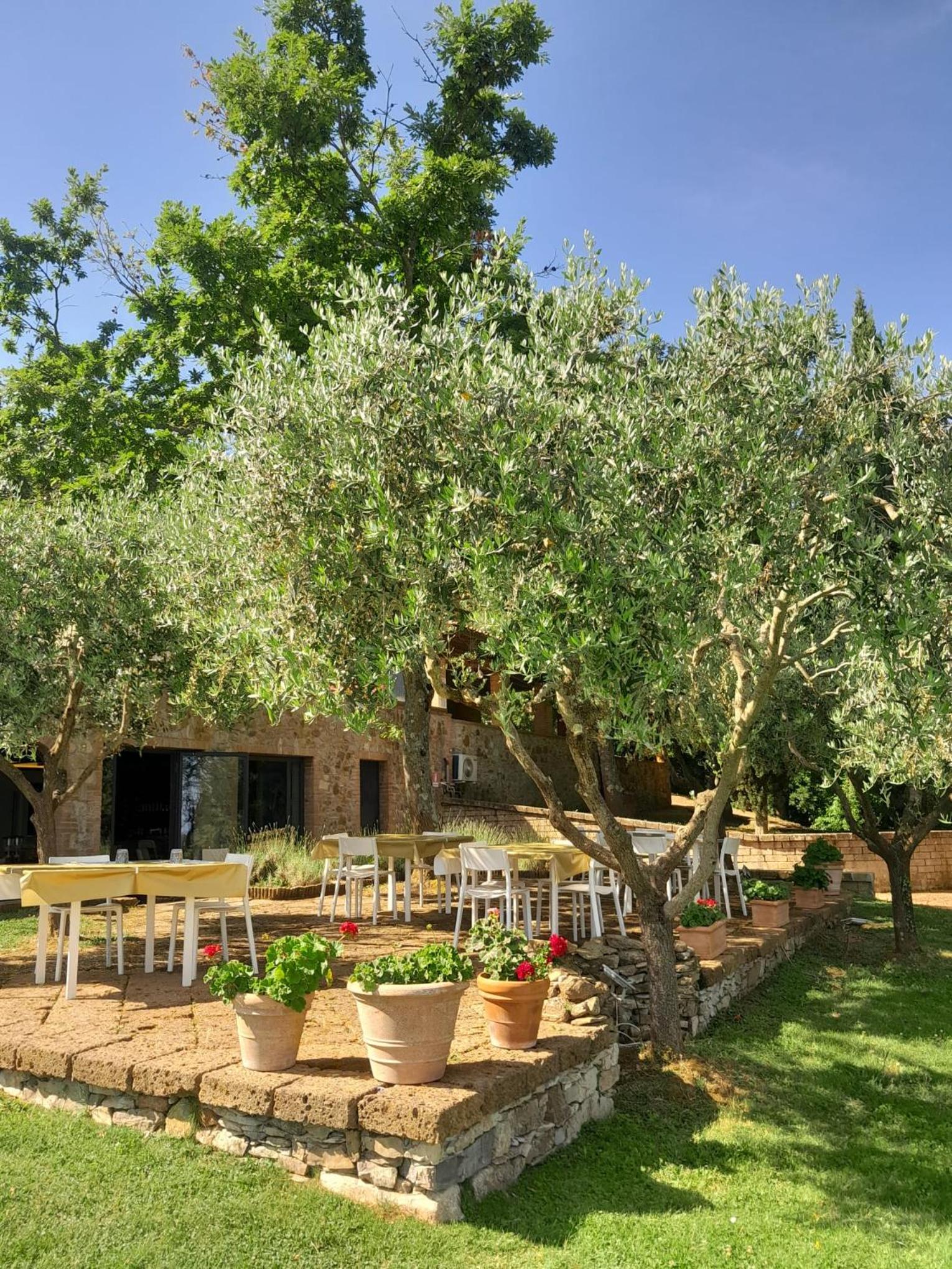 Villa Le Polle di Meletro - Exclusive Tuscan Villa with Private Pool & Panoramic Glass Sauna