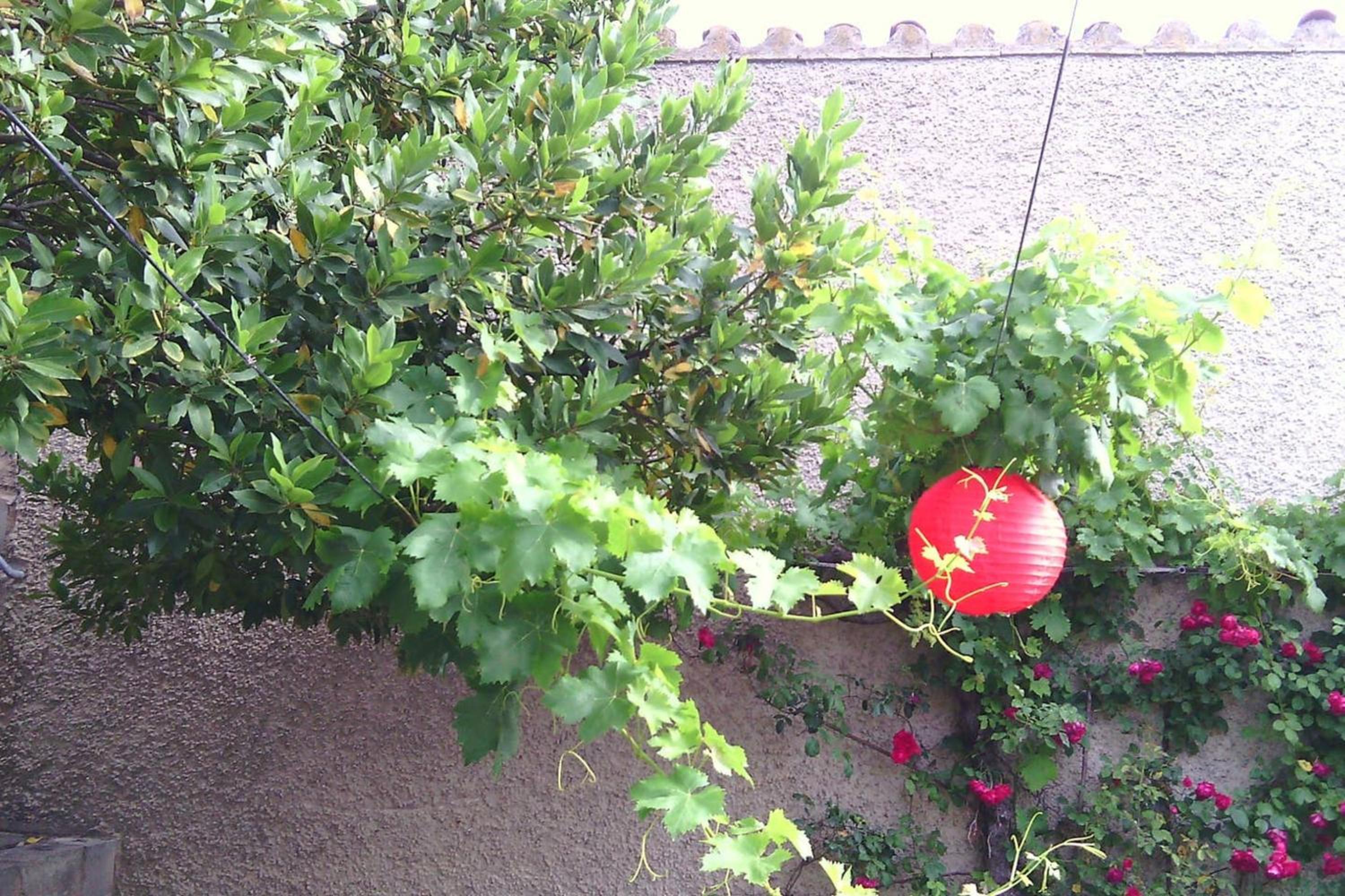 Photo 26