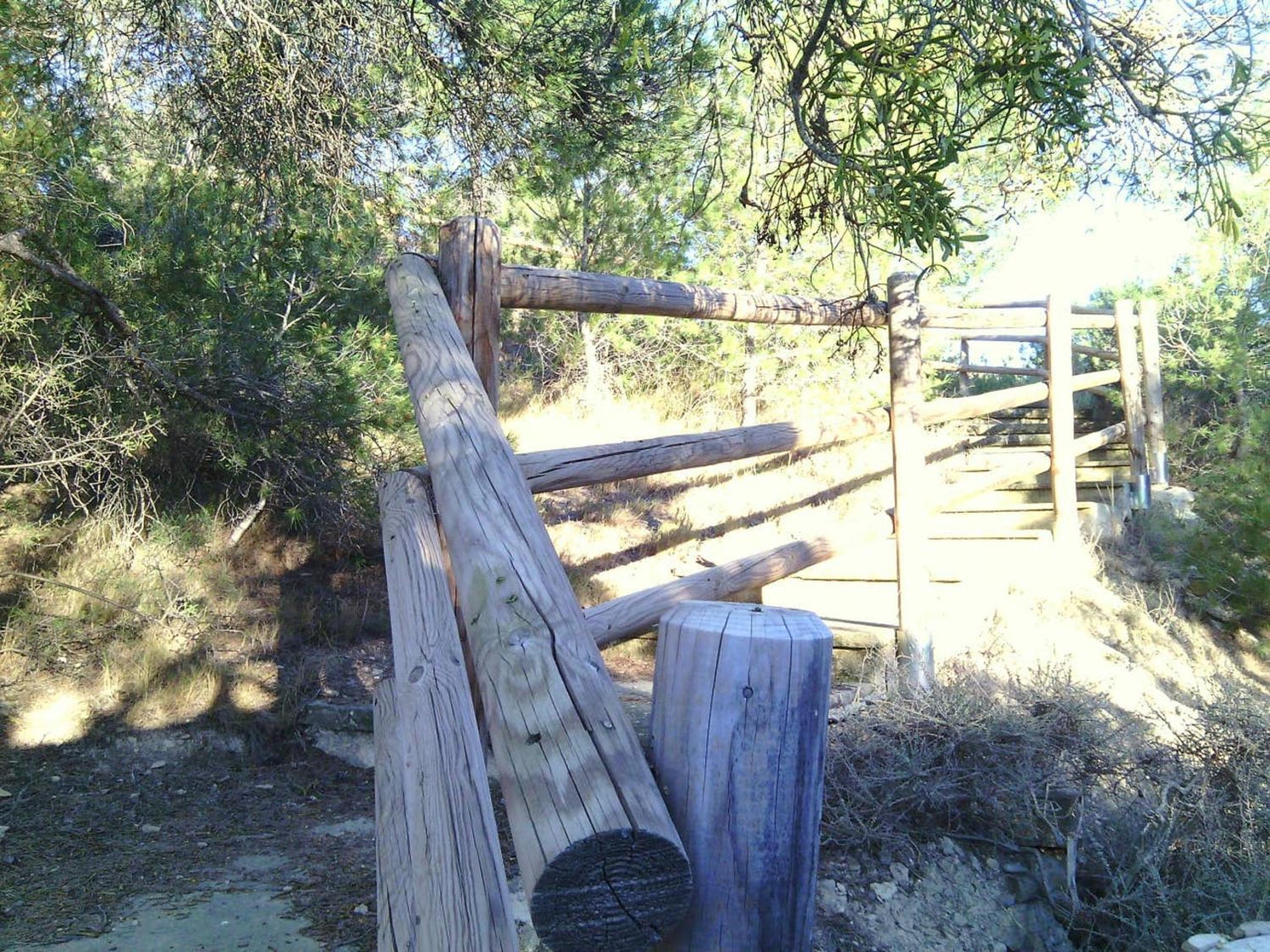 Photo 28