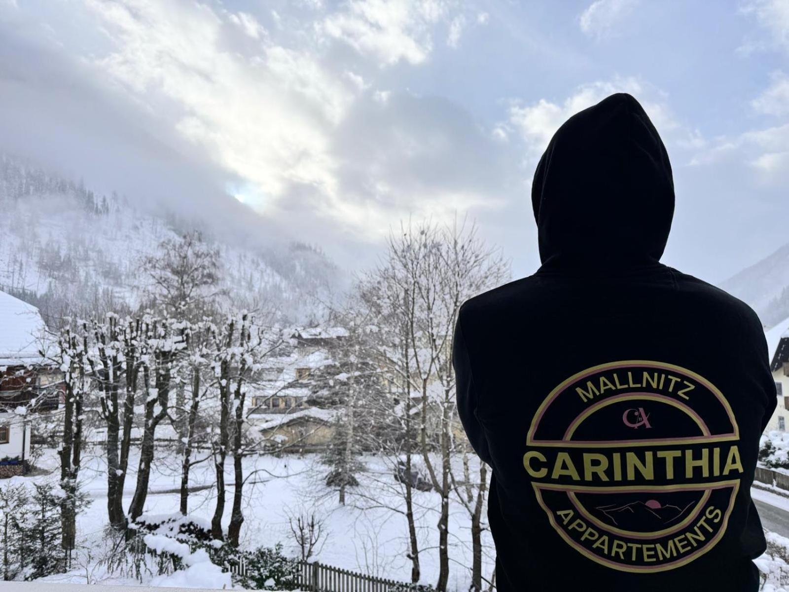 AH Carinthia Mallnitz - Carinthia Appartements