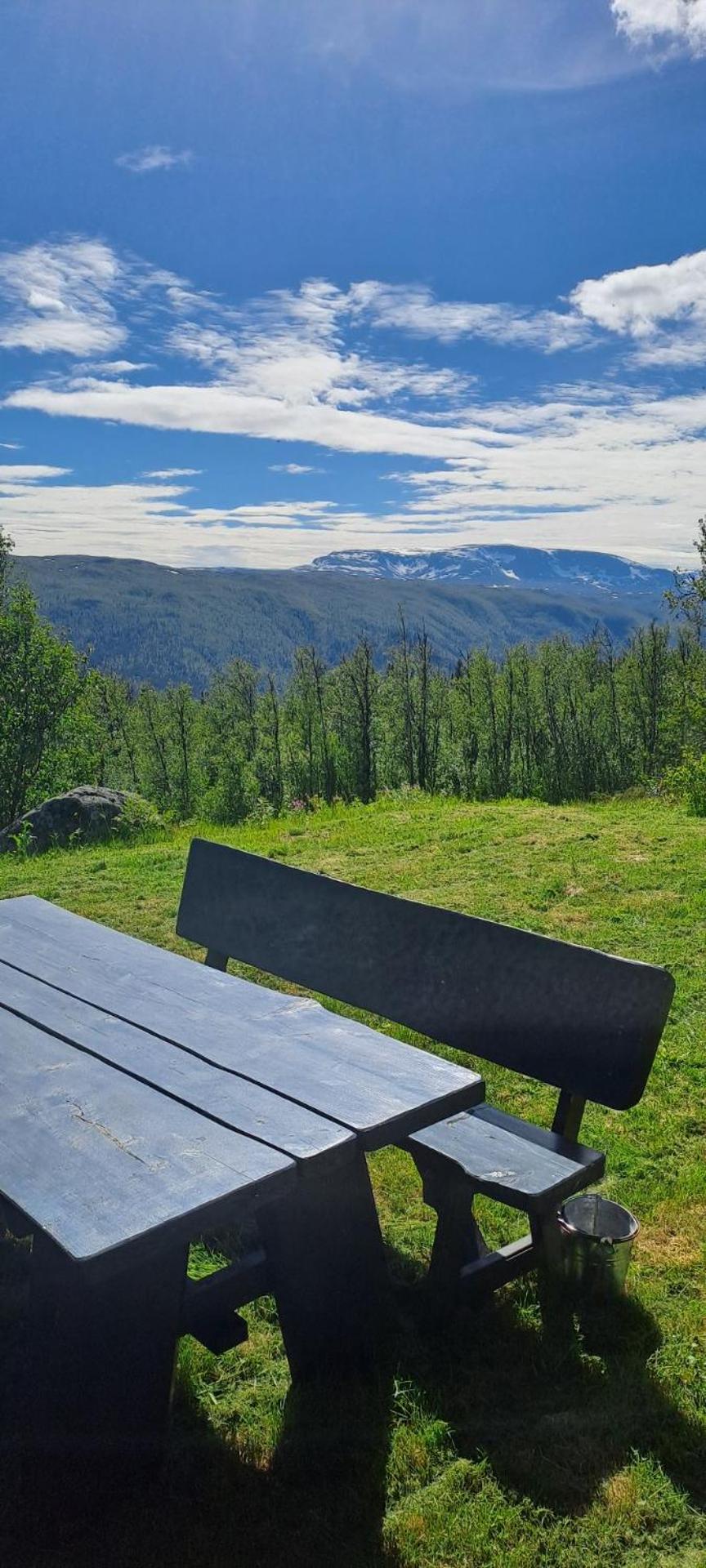 Steinstølen by Norgesbooking - cabin with a lovery view view 2