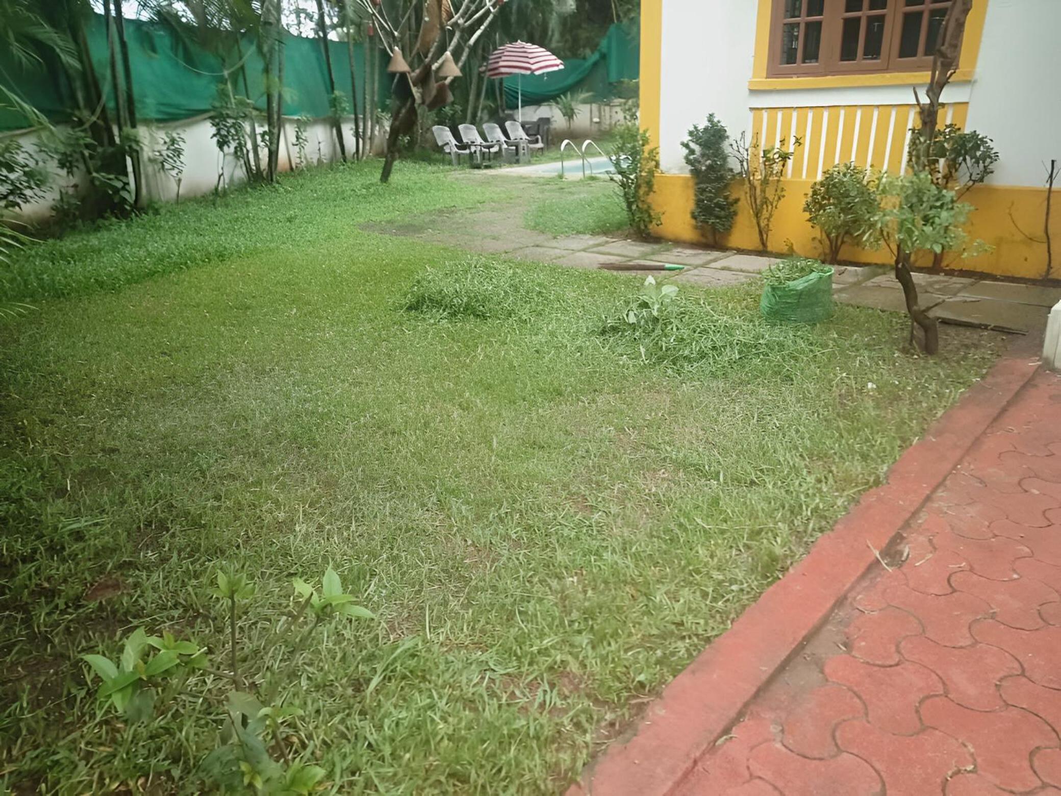 Photo 41