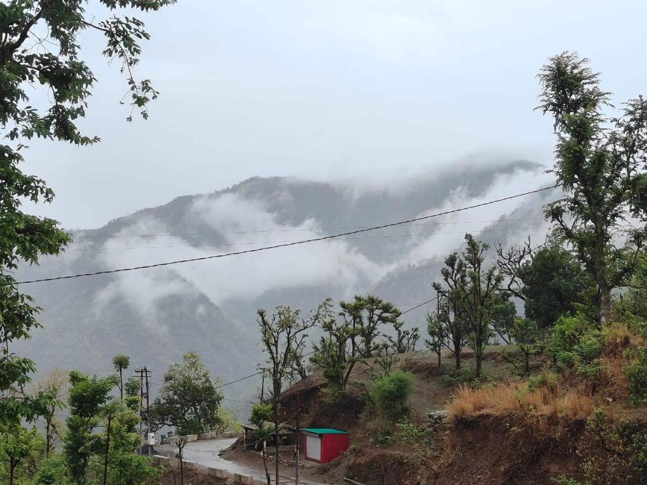 Nature Villa view 2