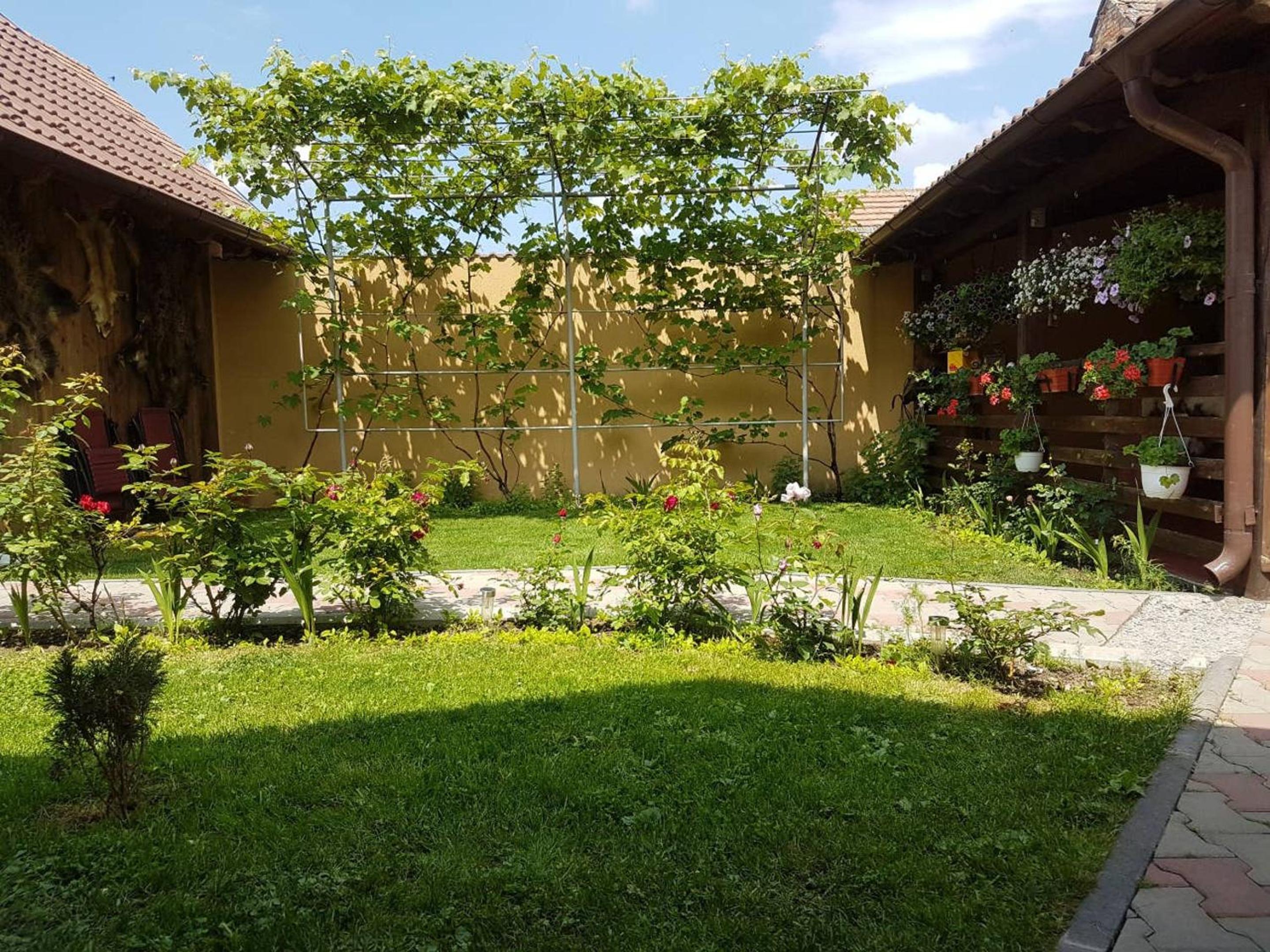Photo 11