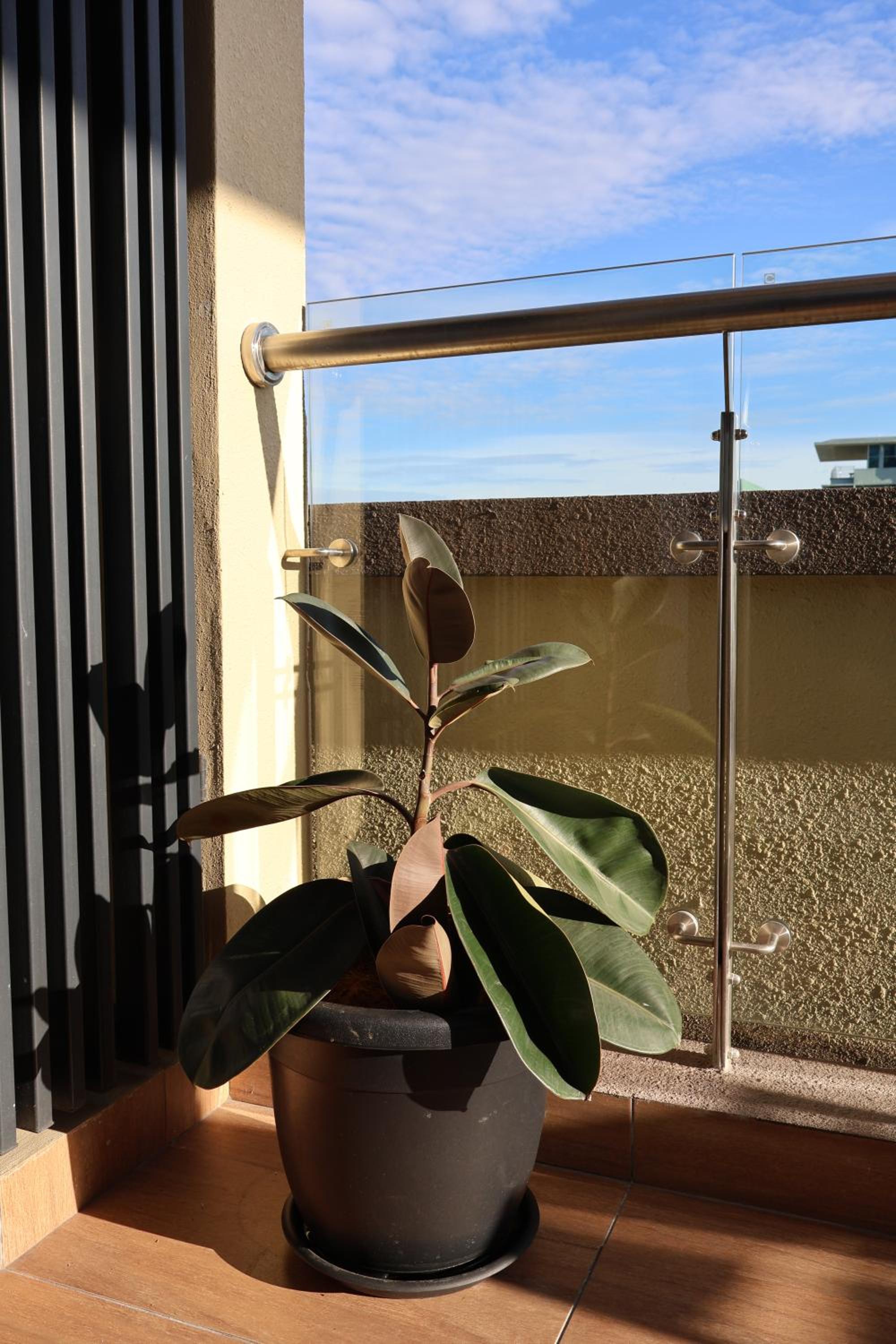 Photo 35