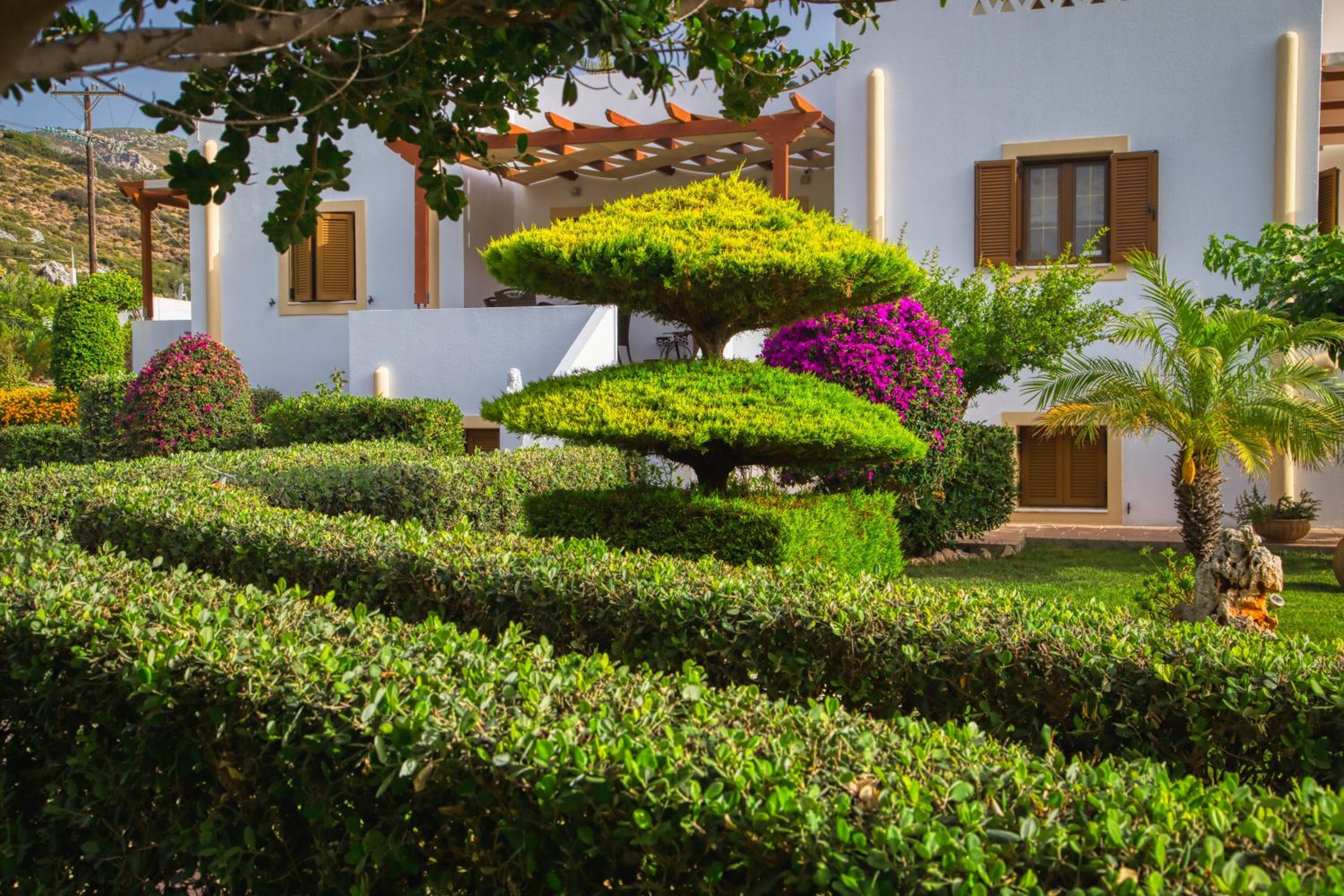 Villa d'amour en Skiros