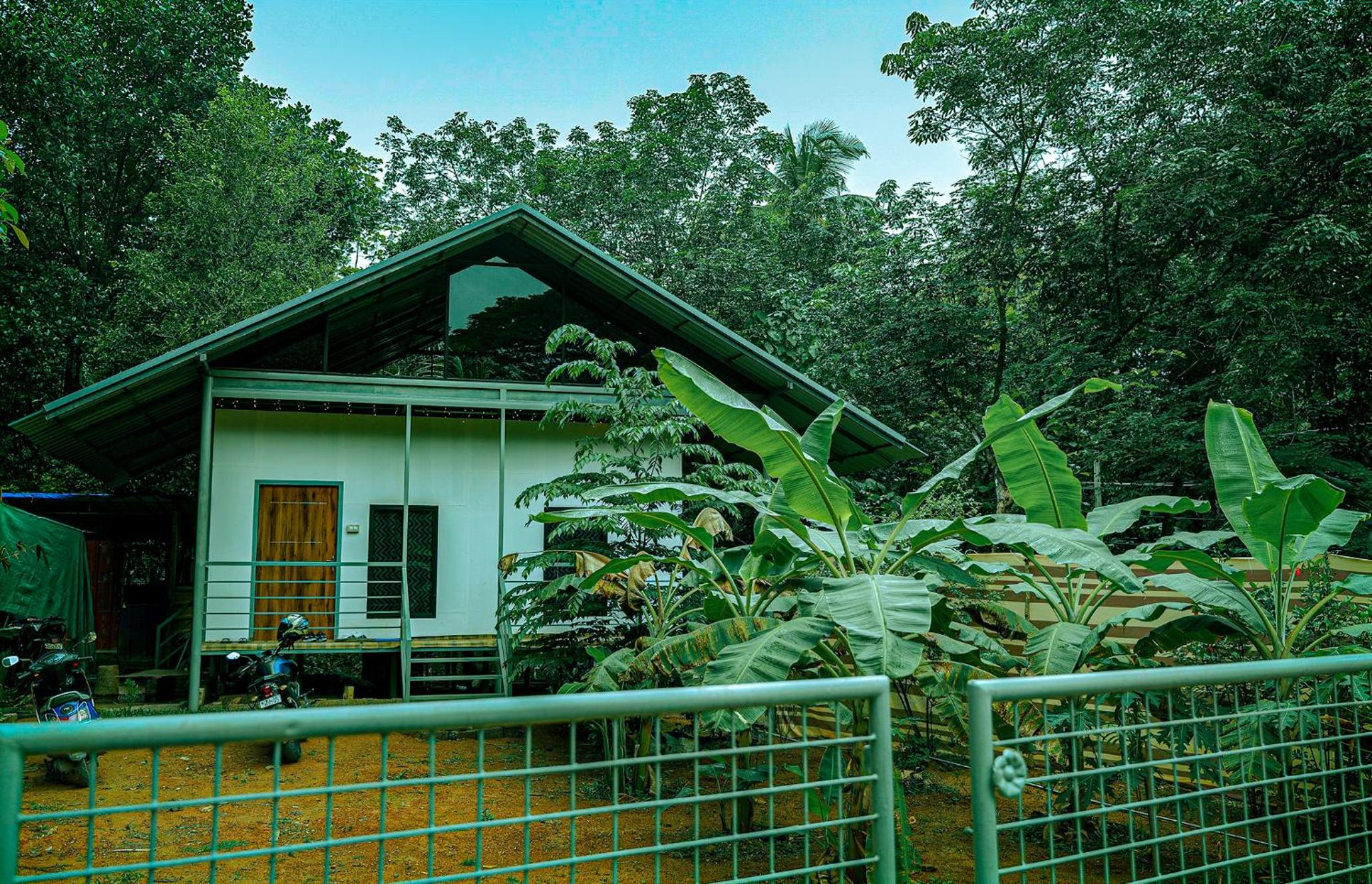 DAFFODILS villa
