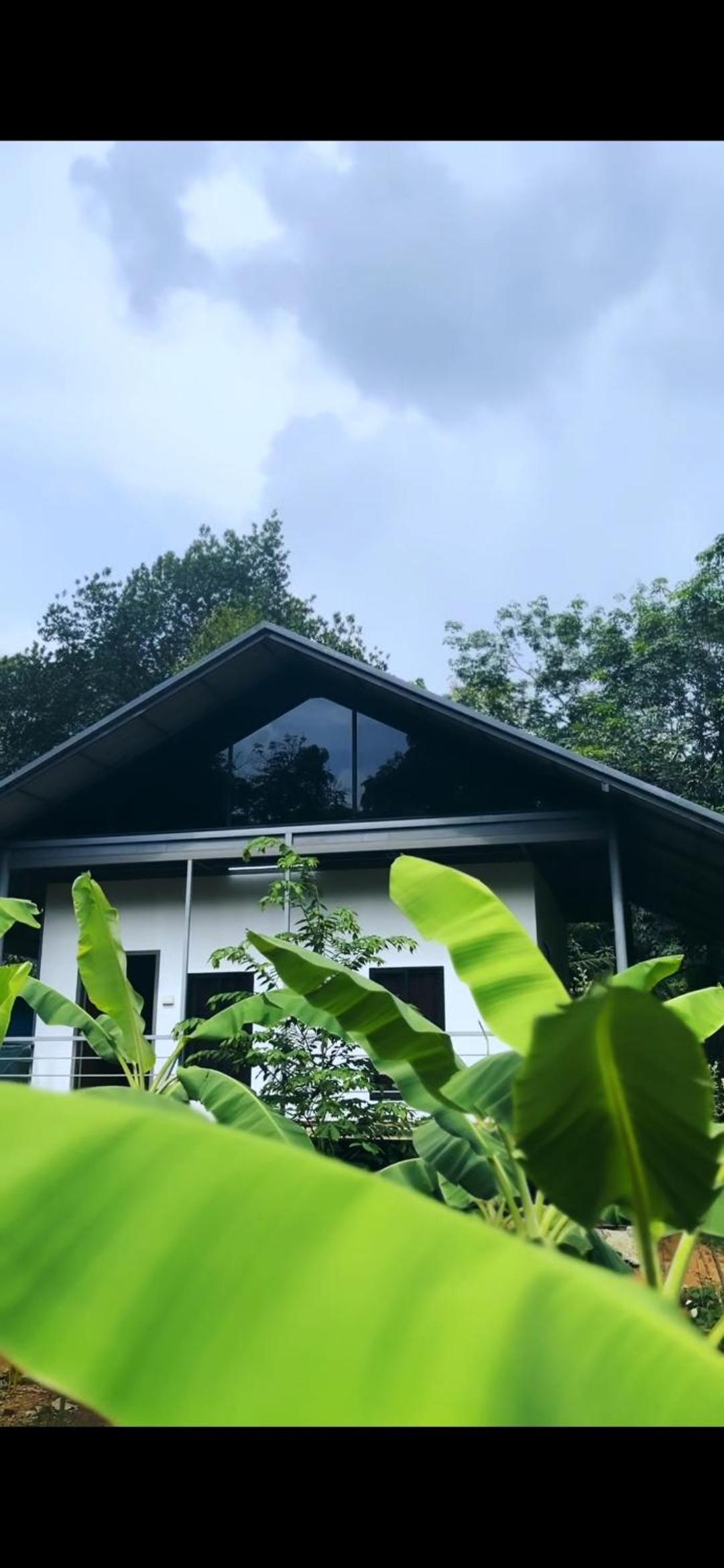 DAFFODILS villa
