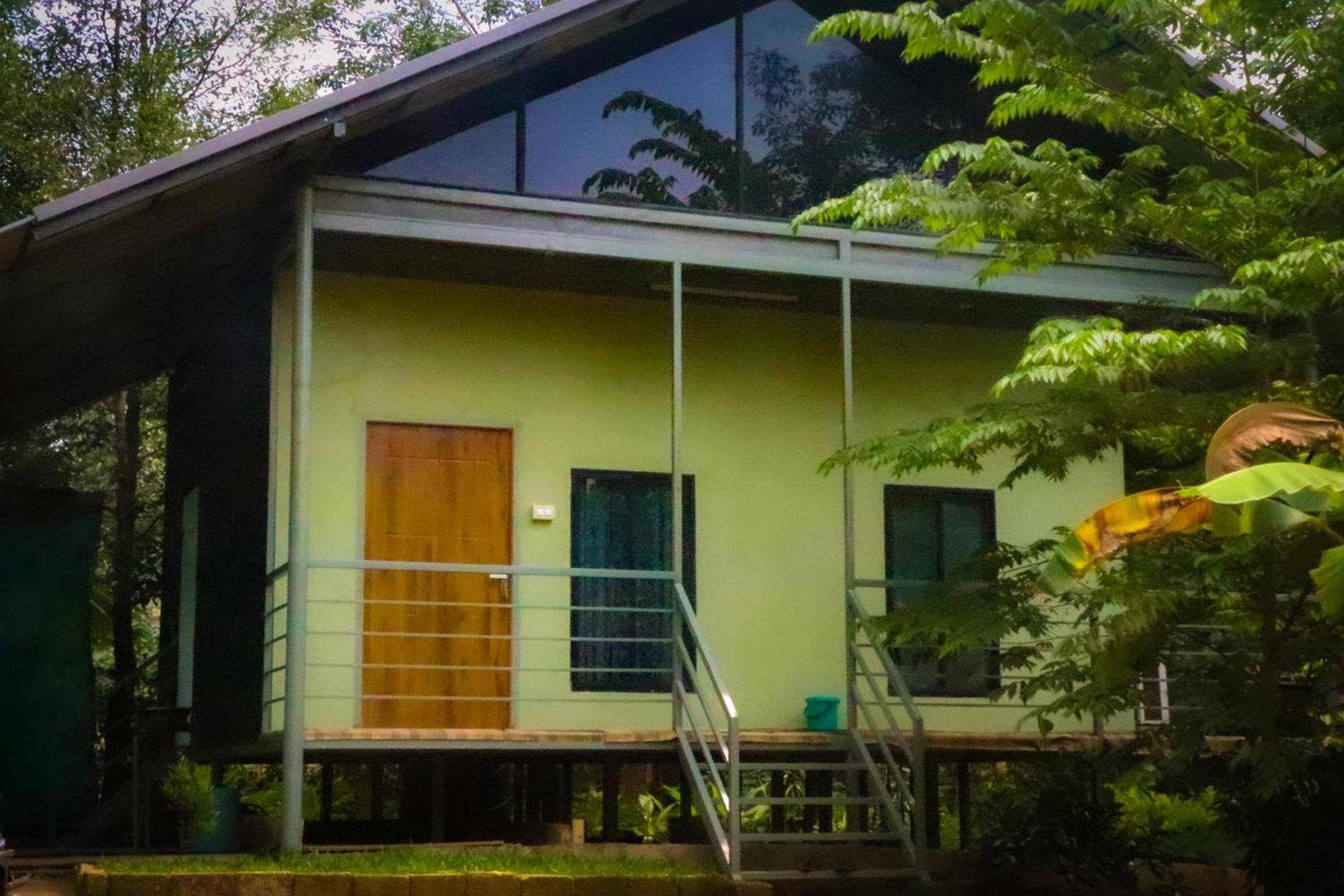 DAFFODILS villa